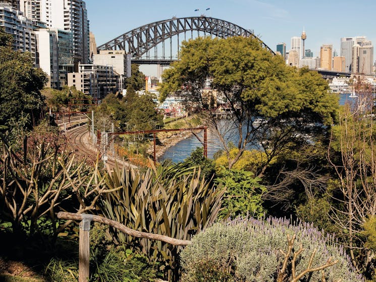 Sydney Harbour Bridge view from Wendy Whiteley's Secret Garden, Lavender Bay