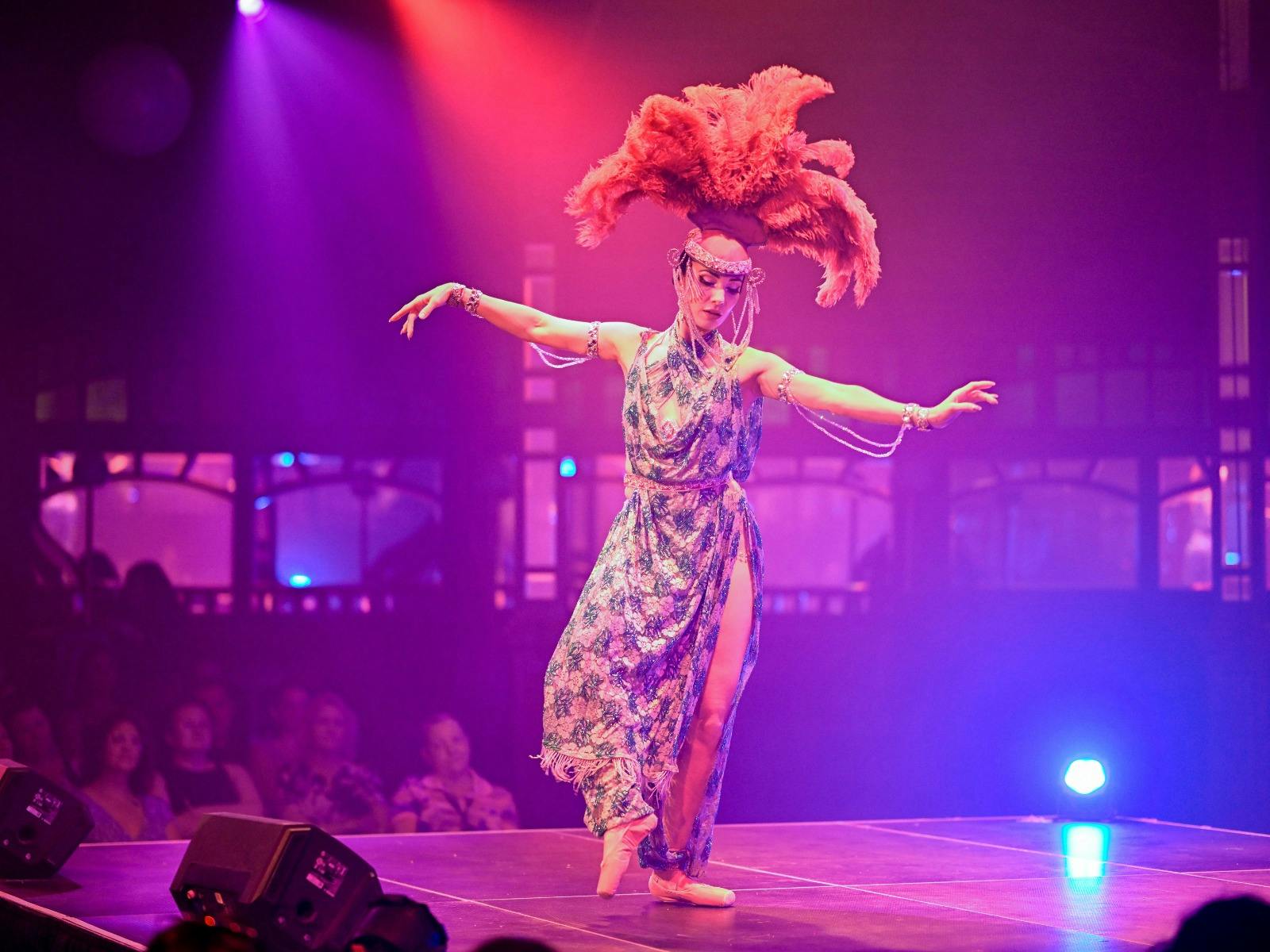 North Australian Festival of Arts (NAFA)