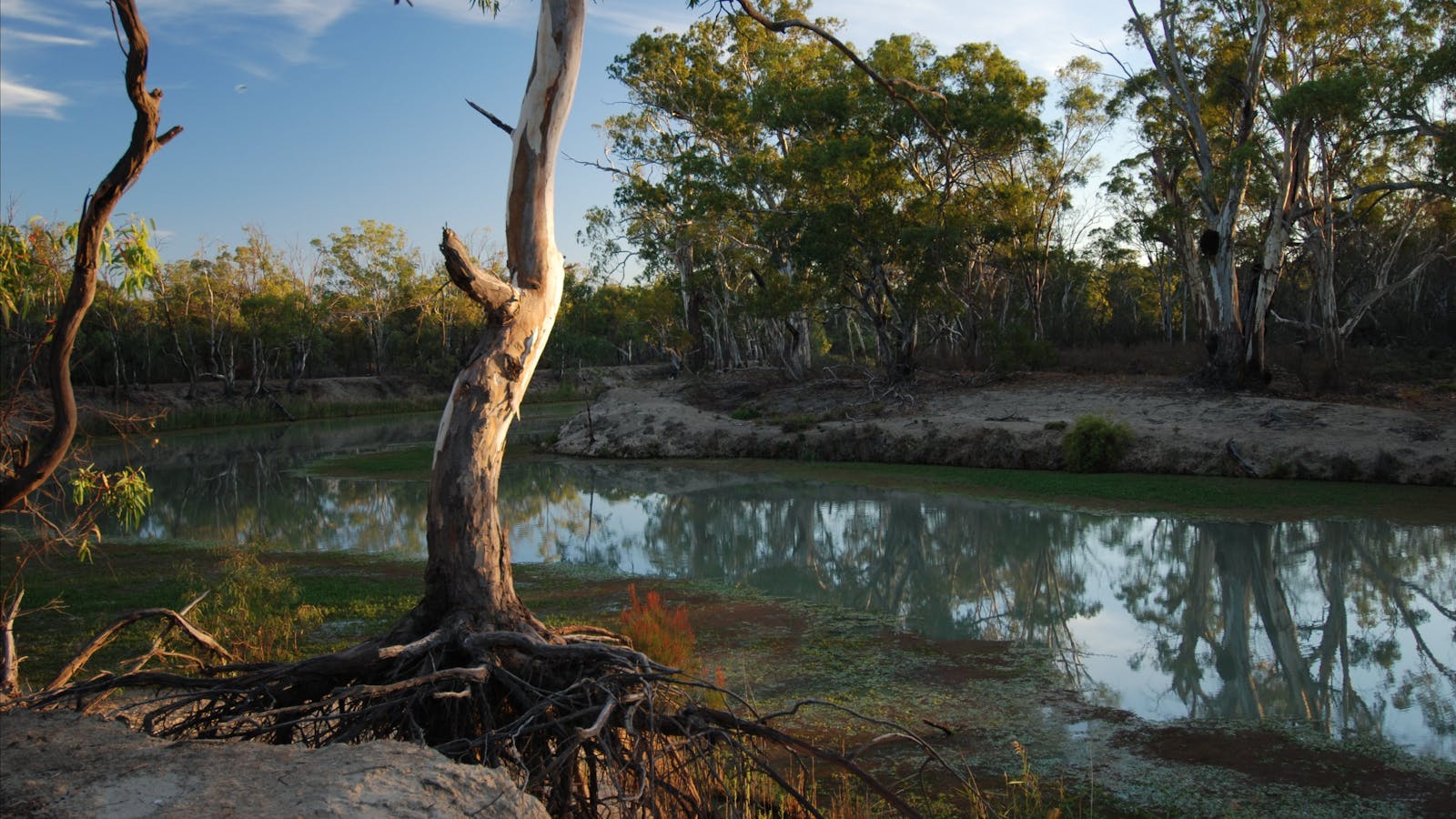 Murray River National Park