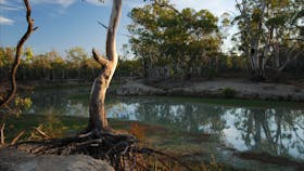 murray-river