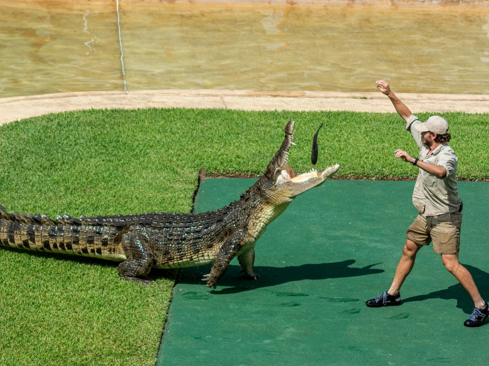 Australia Zoo – Home of the Crocodile Hunter