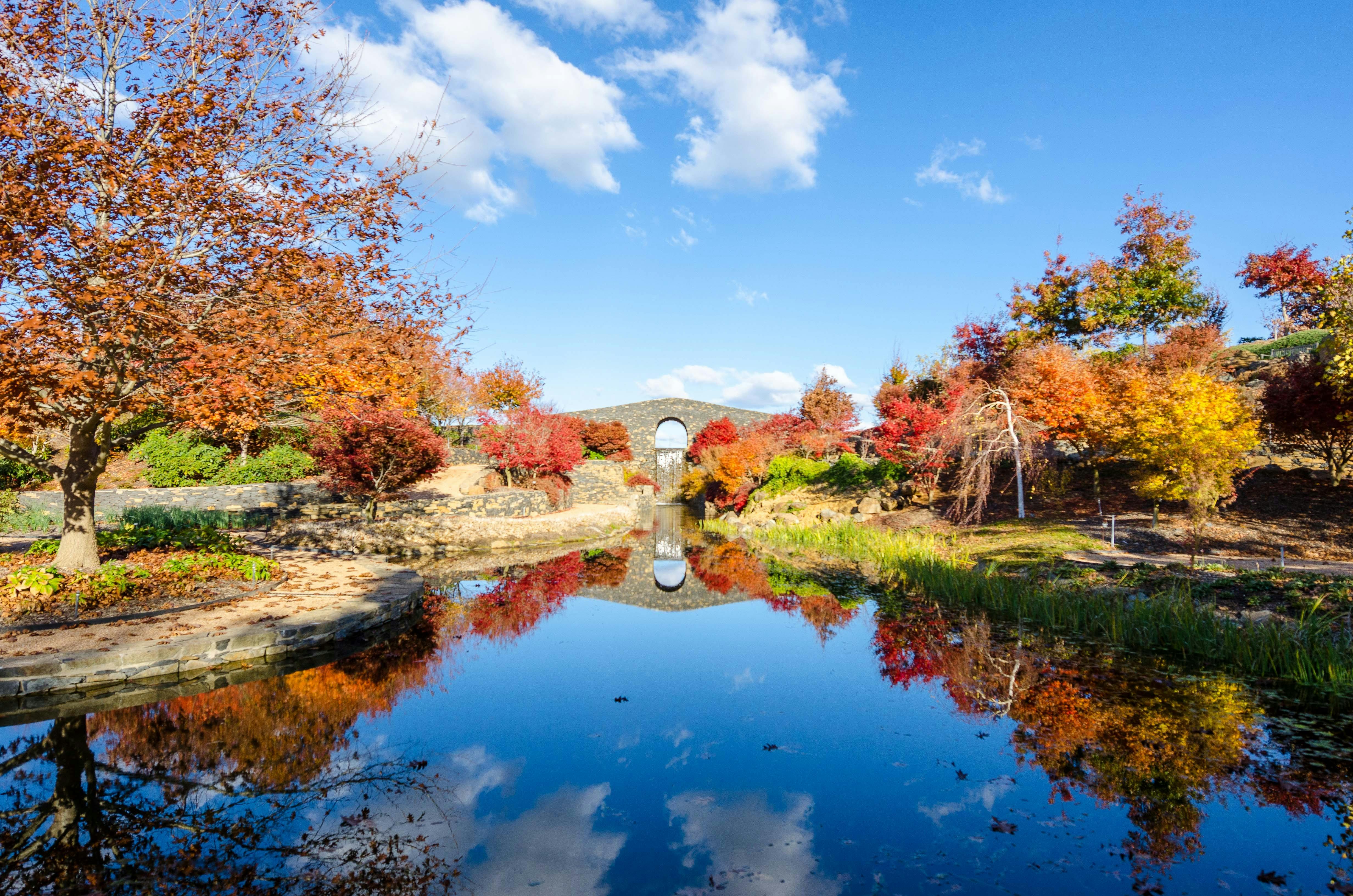Autumn Colours and the Blue Stone Bridge at Mayfield