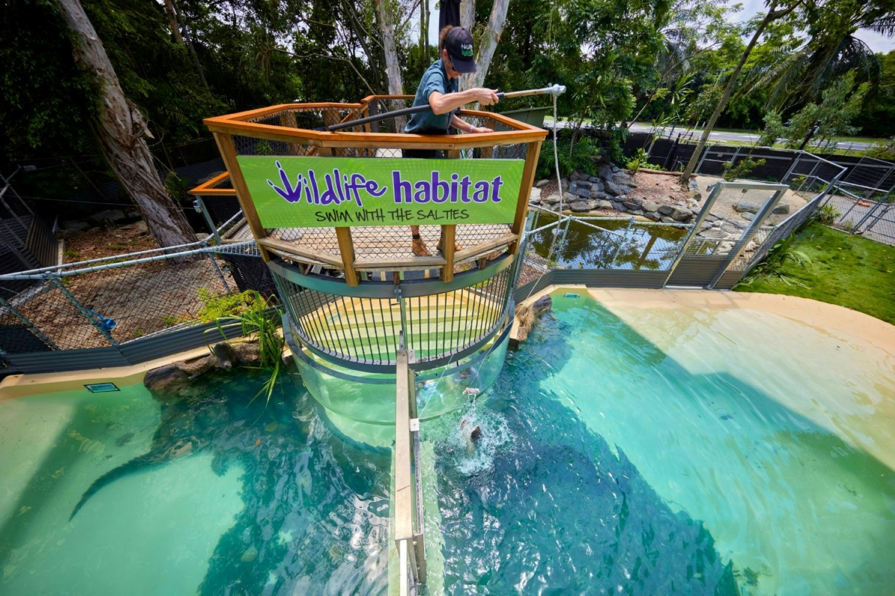 Tour 7A & 7B - Wildlife, The Daintree Rainforest & Mossmna Gorge