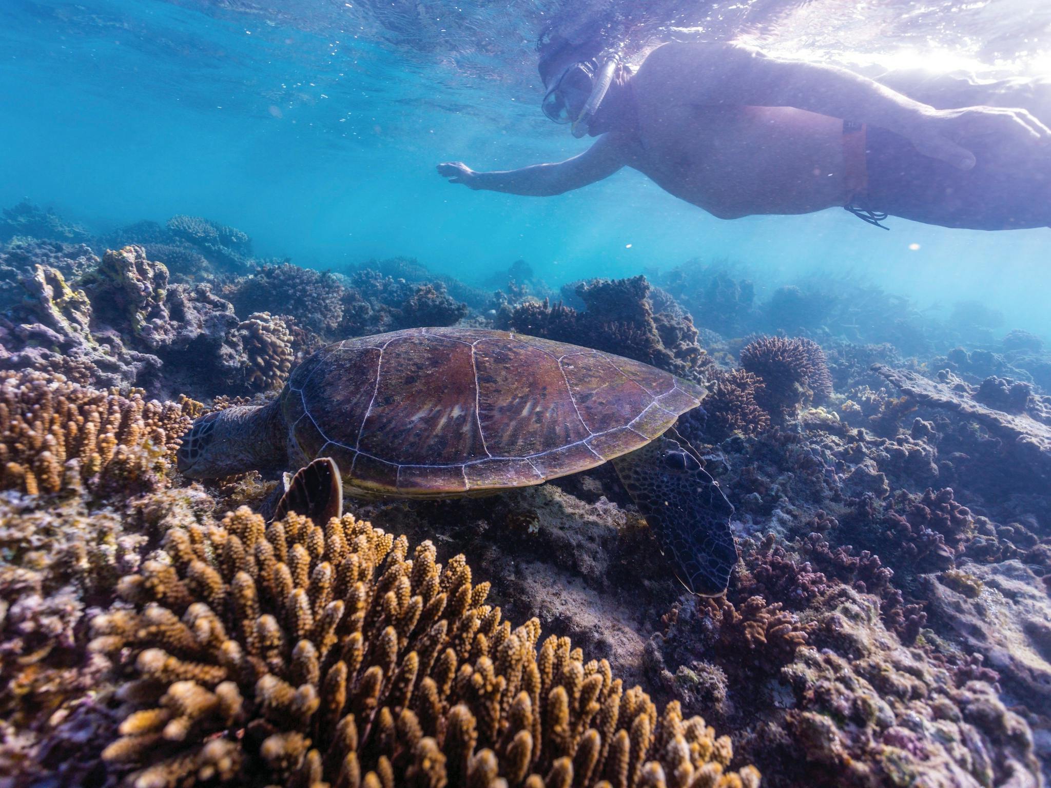 Complete Ningaloo Reef Experience, Exmouth, Western Australia