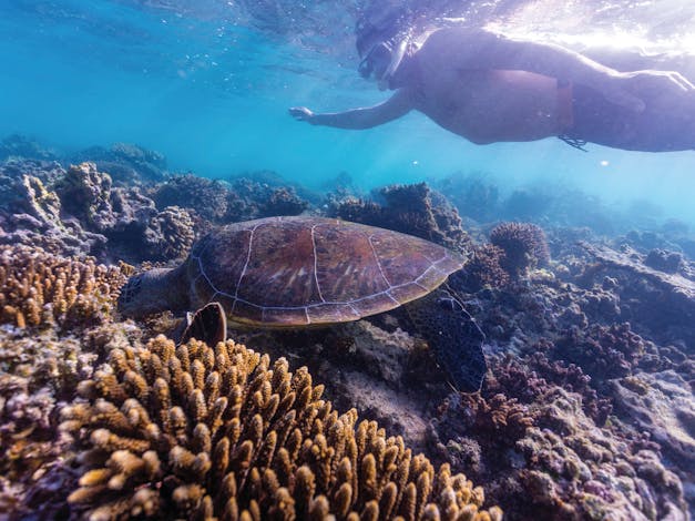 Complete Ningaloo Reef Explorer