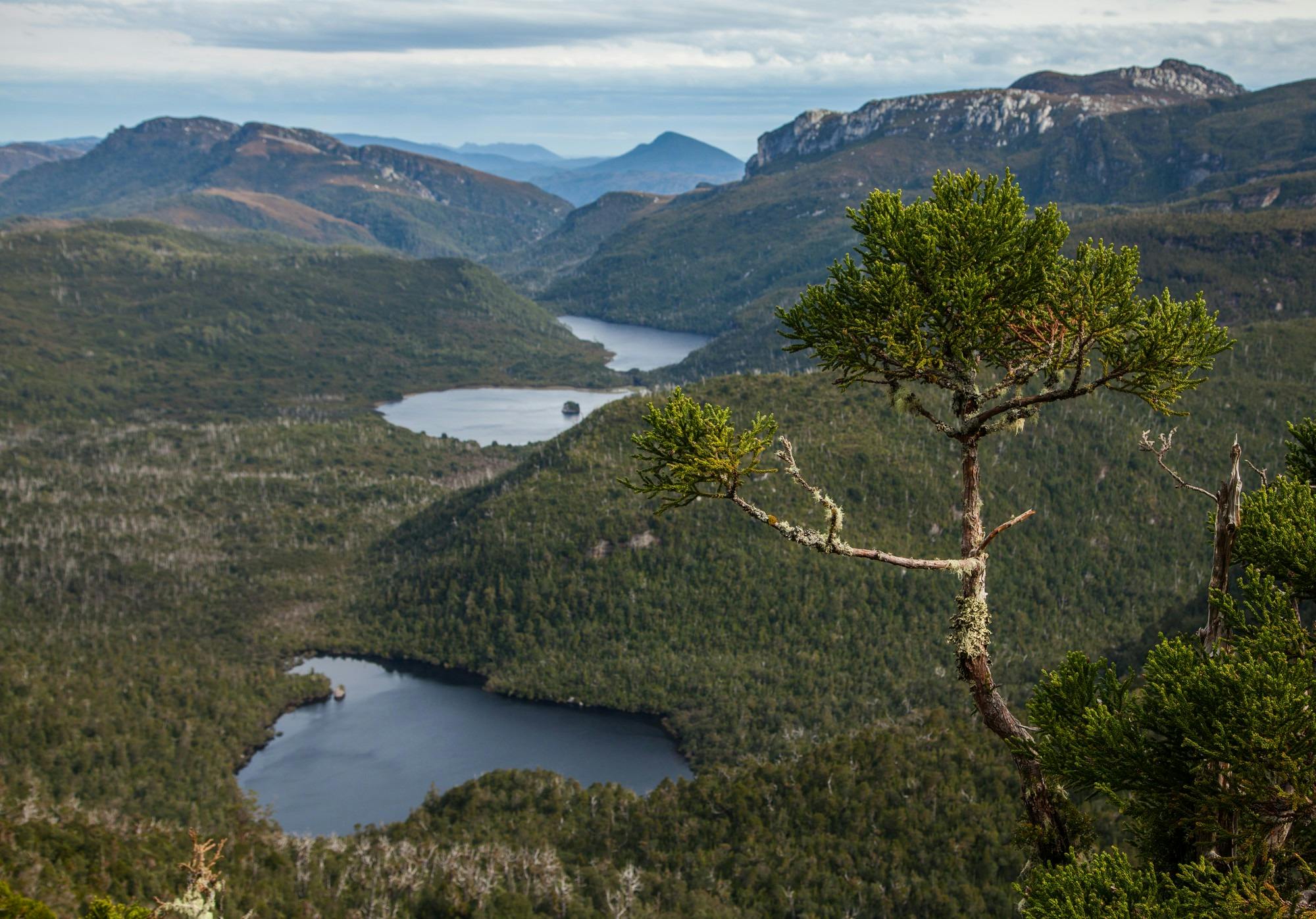Franklin-Gordon Wild Rivers National Park