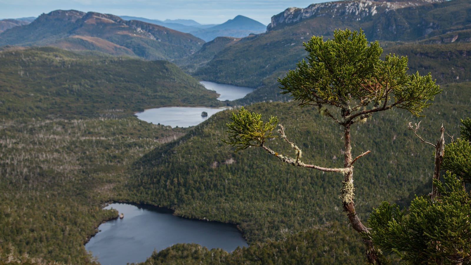 Franklin-Gordon Wild Rivers National Park