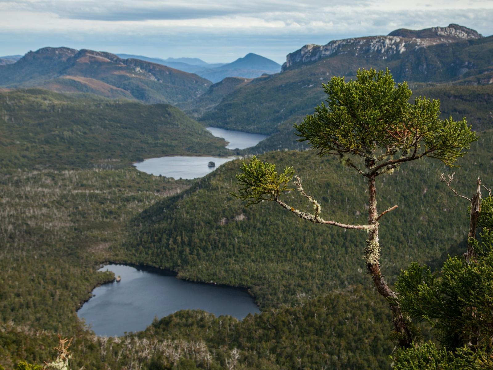 Franklin-Gordon Wild Rivers National Park