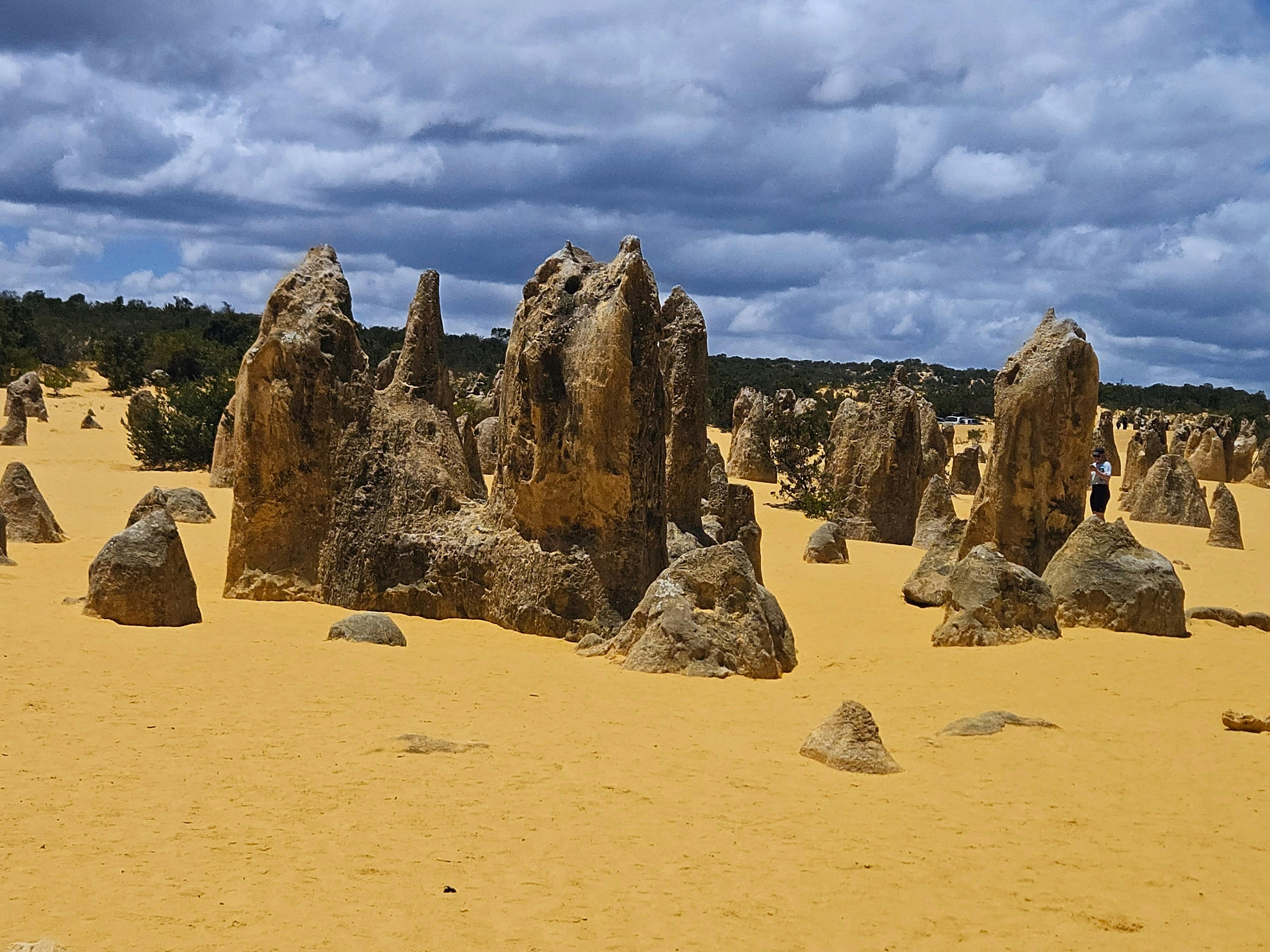 The Pinnacles Desert Tour
