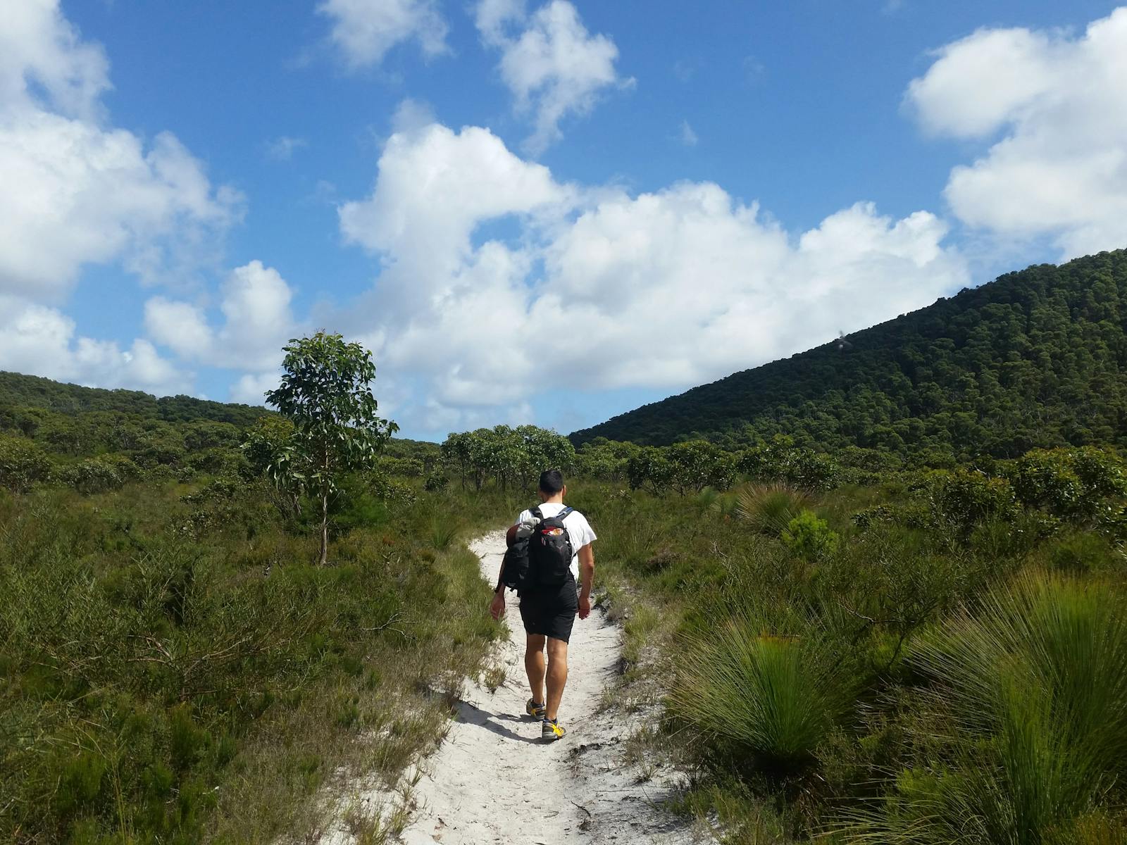 Wilsons Prom National Park