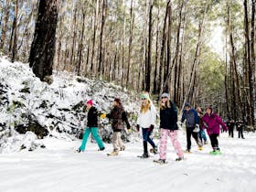 Mt Stirling Alpine Resort