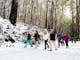 Snowshoeing at Mt Stirling