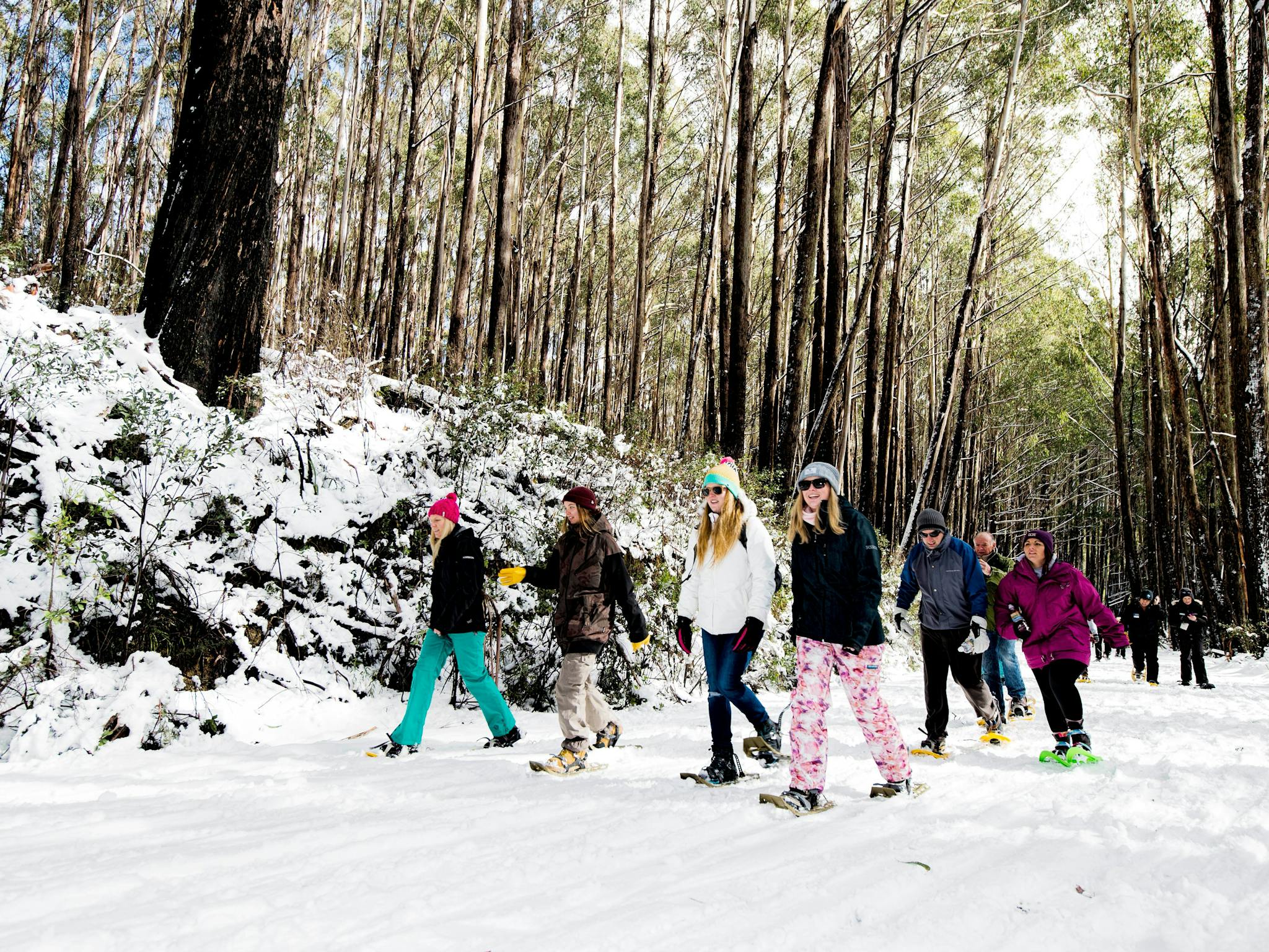 Snowshoeing at Mt Stirling