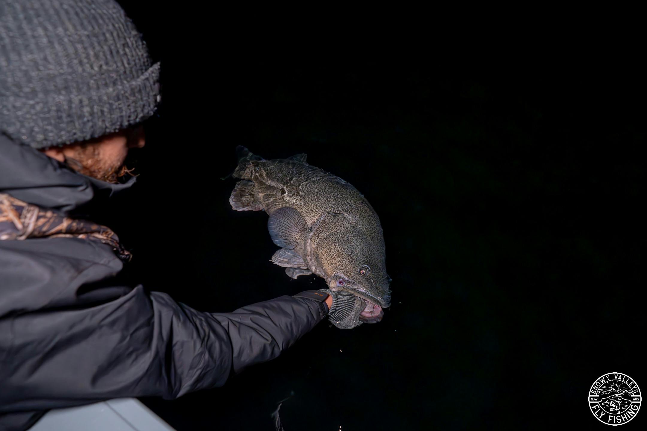 Join Snowy Valleys Fly Fishing in chasing the largest Murray Cod in Australia  on lure and fly
