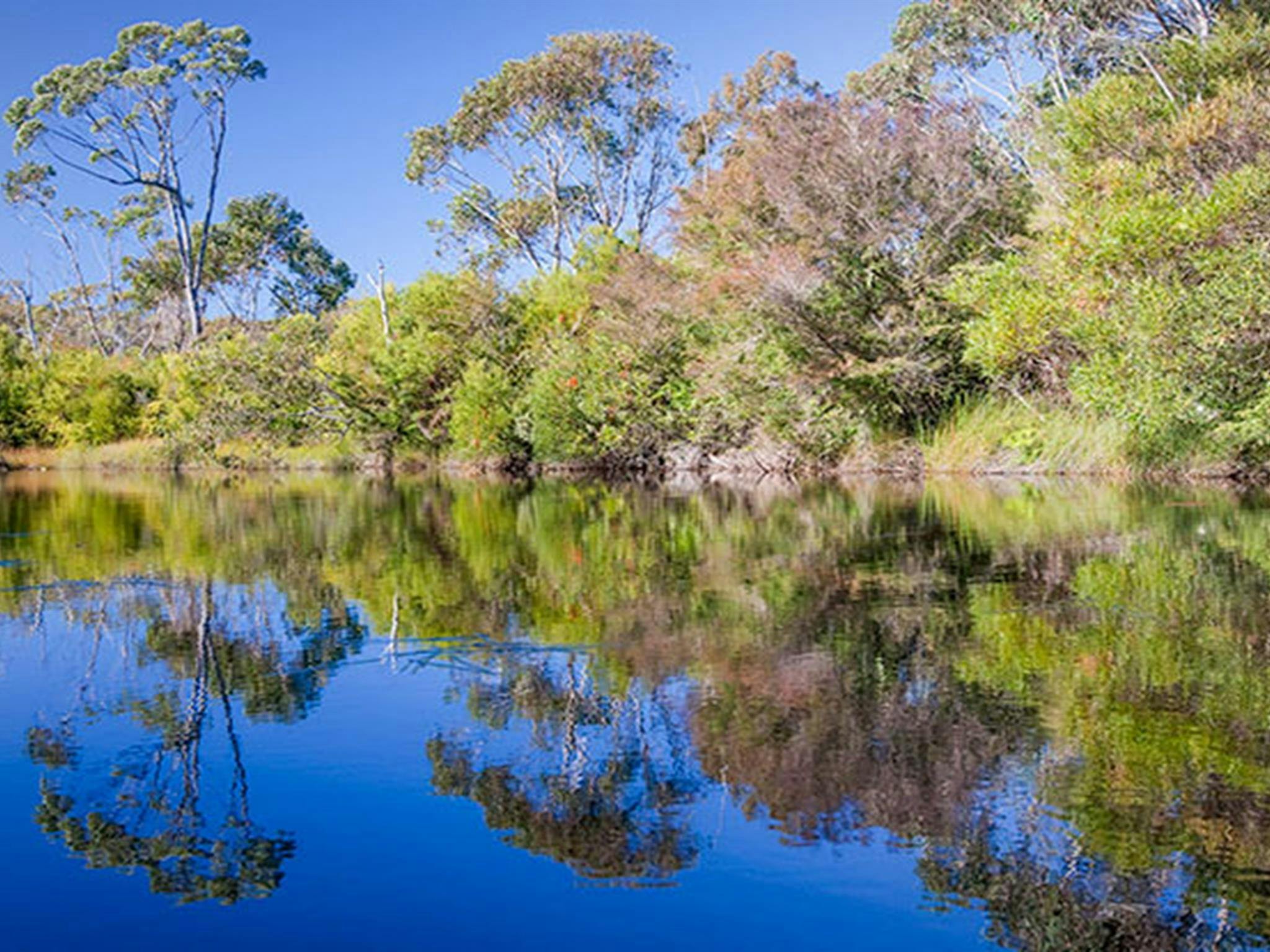Dharawal National Park. Photo: Nick Cubbin &copy; OEH