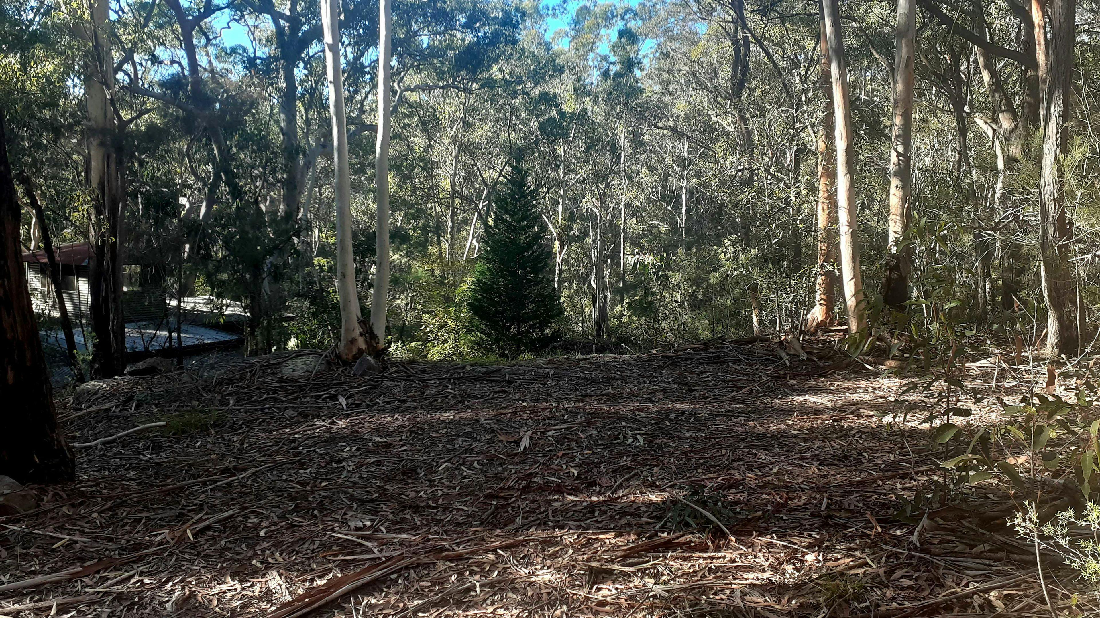 trailer site above cabin