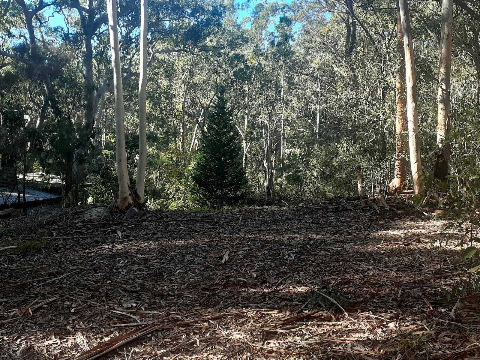 trailer site above cabin