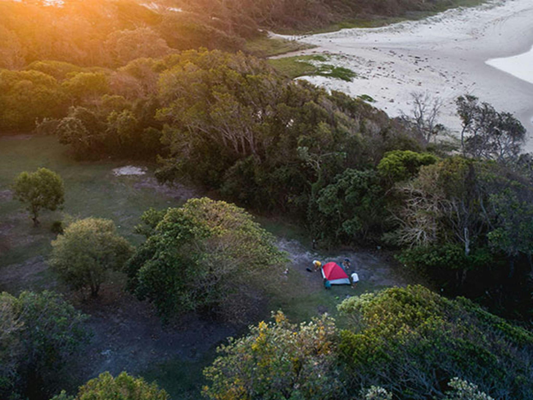 A tent pitched amongst trees, close to the beach in Diamond Head campground, Crowdy Bay National