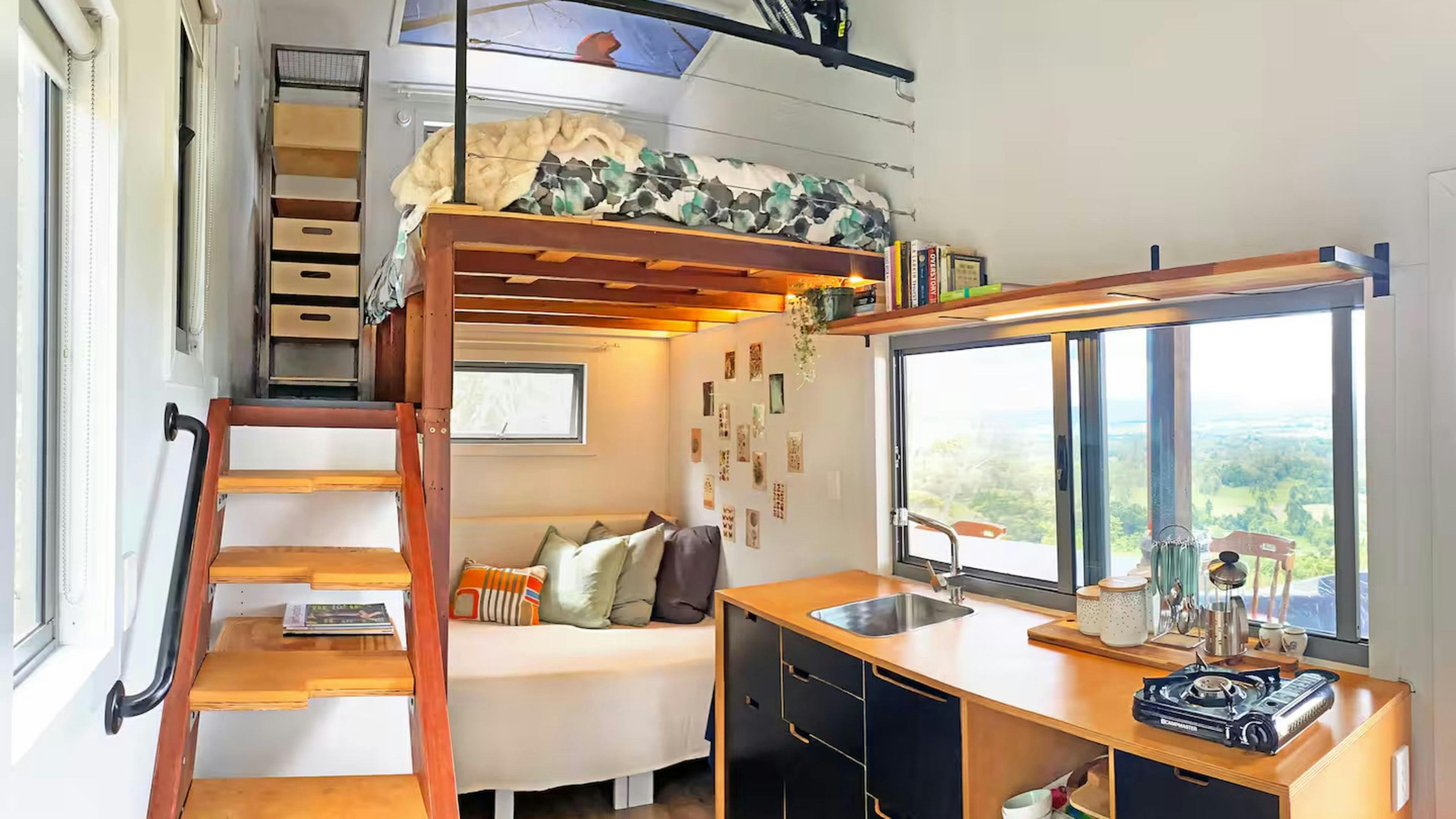 The Avocado Tree Farm