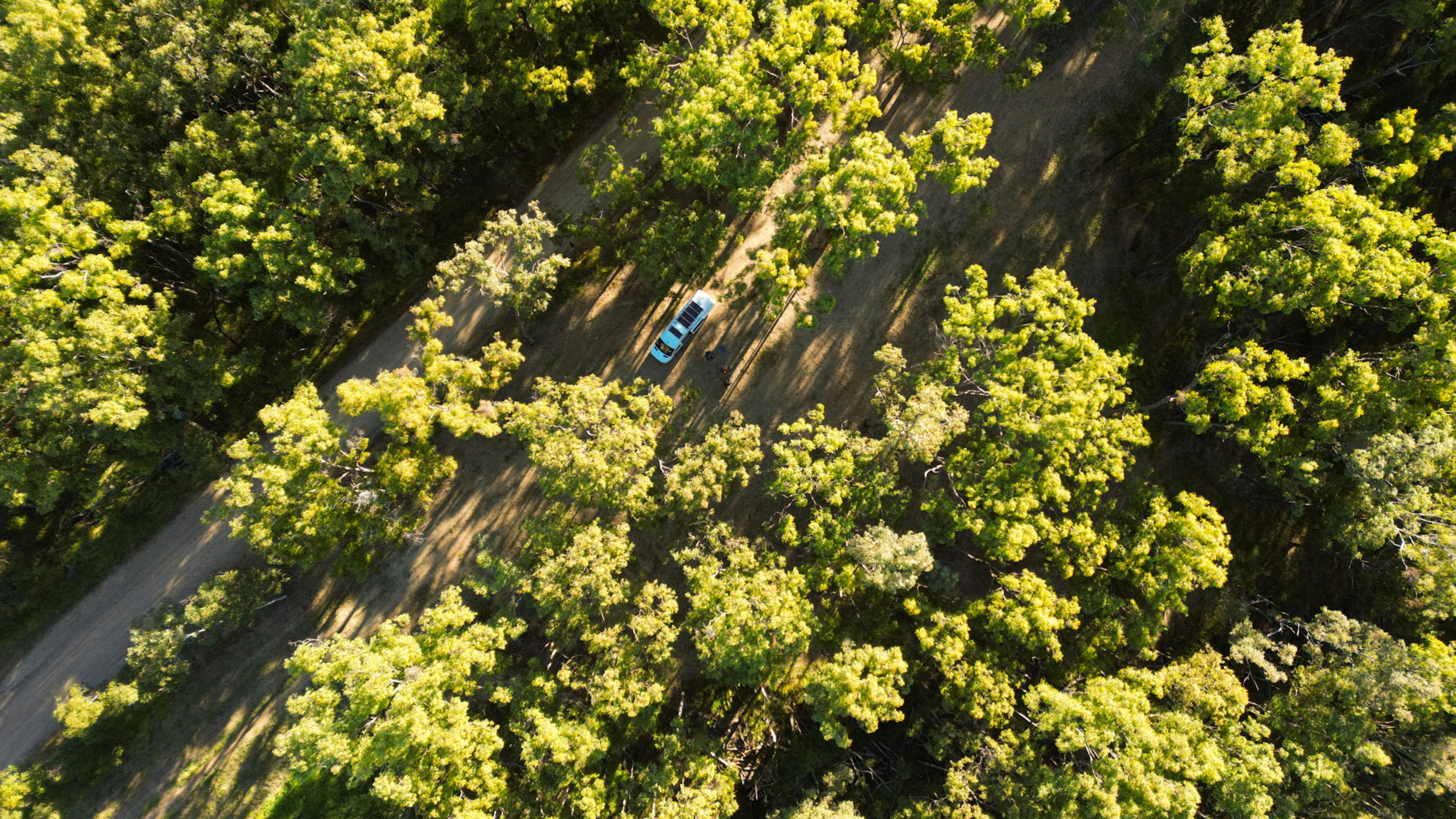 UniqueVibe Bush Camp (Off-grid)