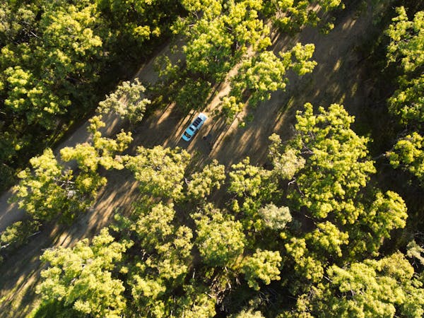 We loved the surrounding forest.🌳 