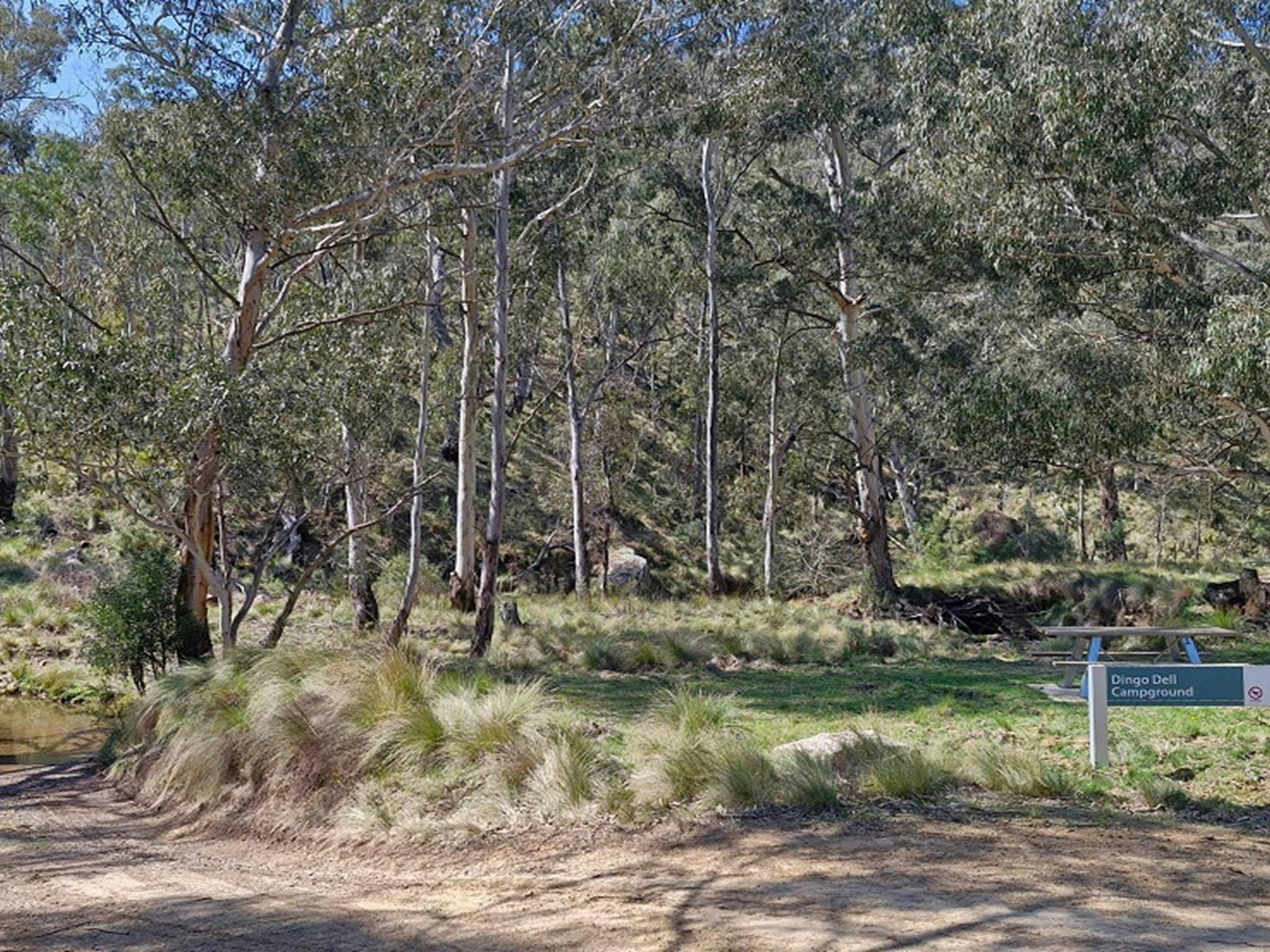 Dingo Dell Campground