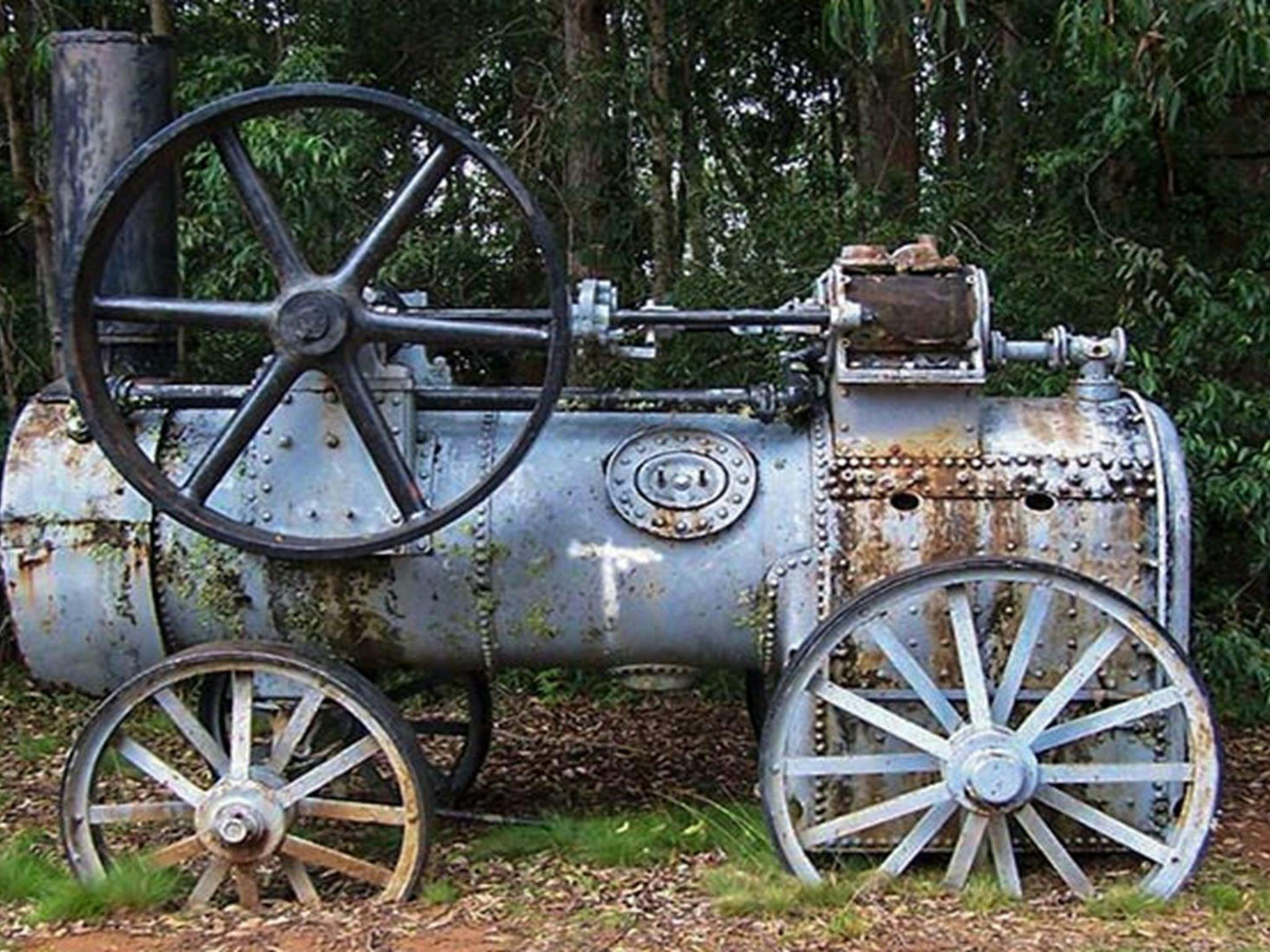 Dingo Tops campground, Tapin Tops National Park. Photo: Kevin Carter/NSW Government