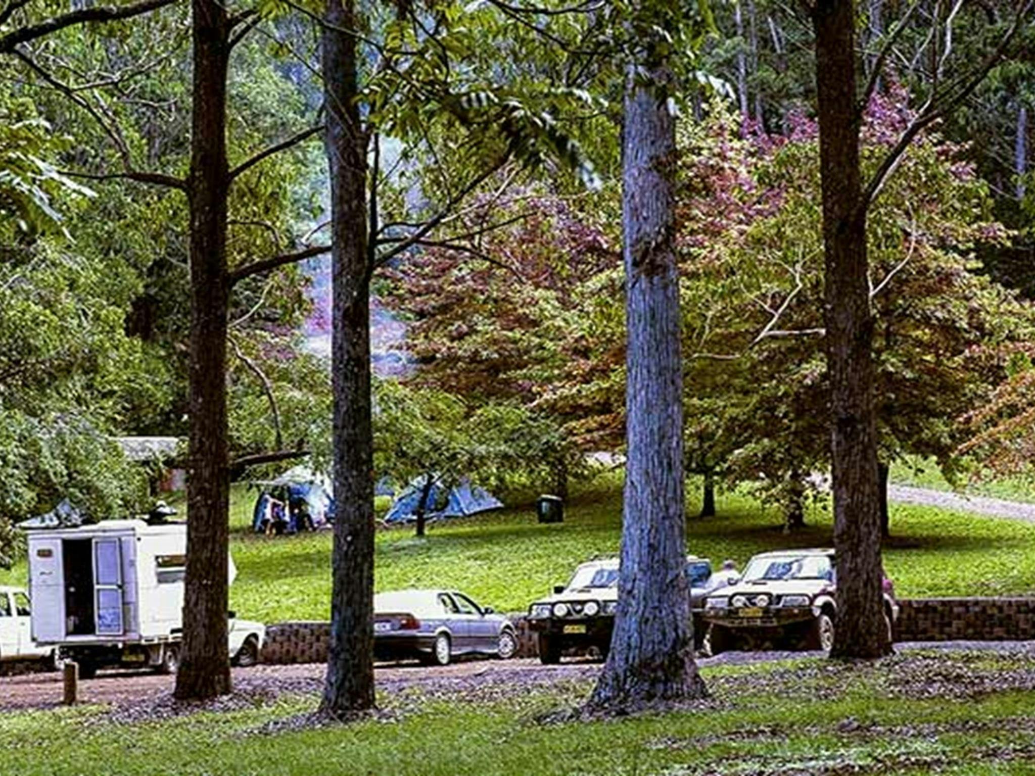 丁戈托普斯露营地，塔平托普斯国家公园。照片：凯文·卡特/新南威尔士州政府