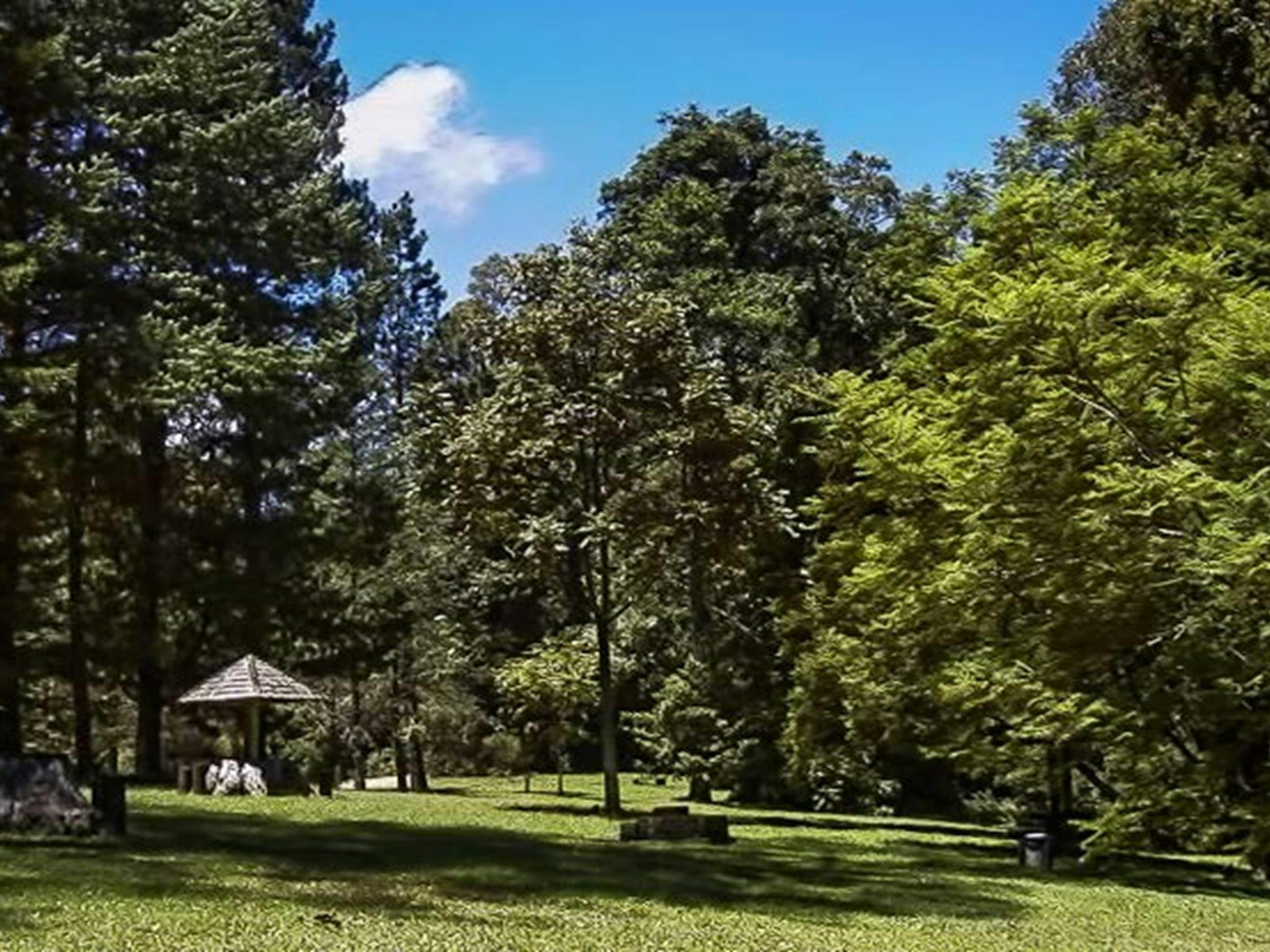 丁戈托普斯露营地，塔平托普斯国家公园。照片：凯文·卡特/新南威尔士州政府