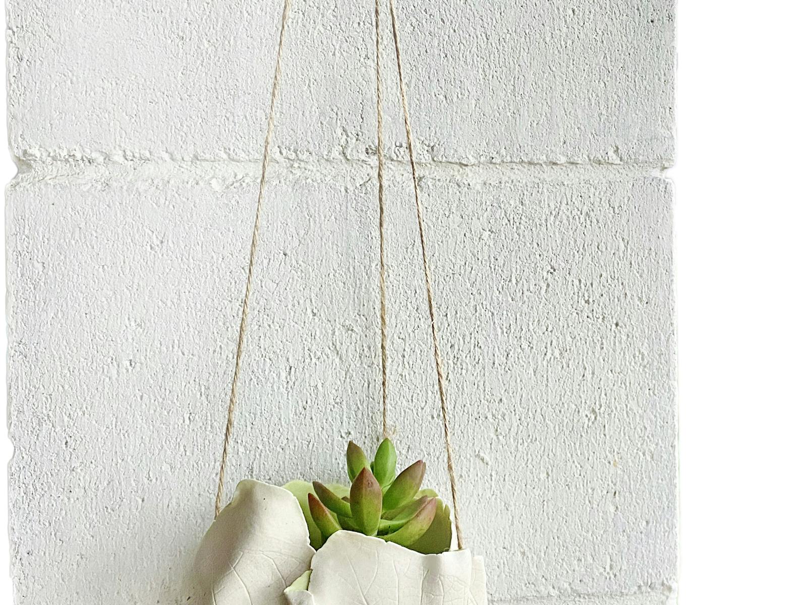 Image for Online live streaming class: DIY Clay Hanging Planter