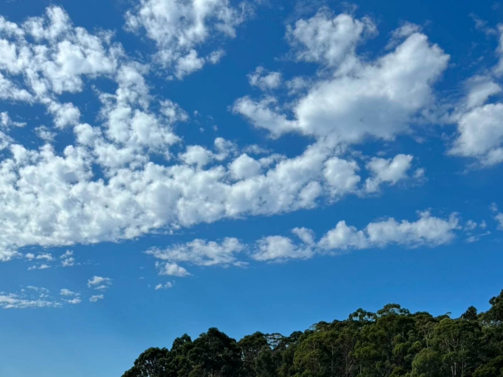 Lunawanna Campground