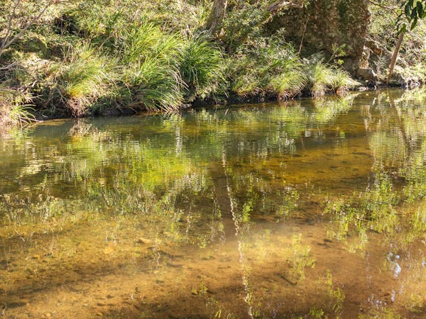 Creek View Place