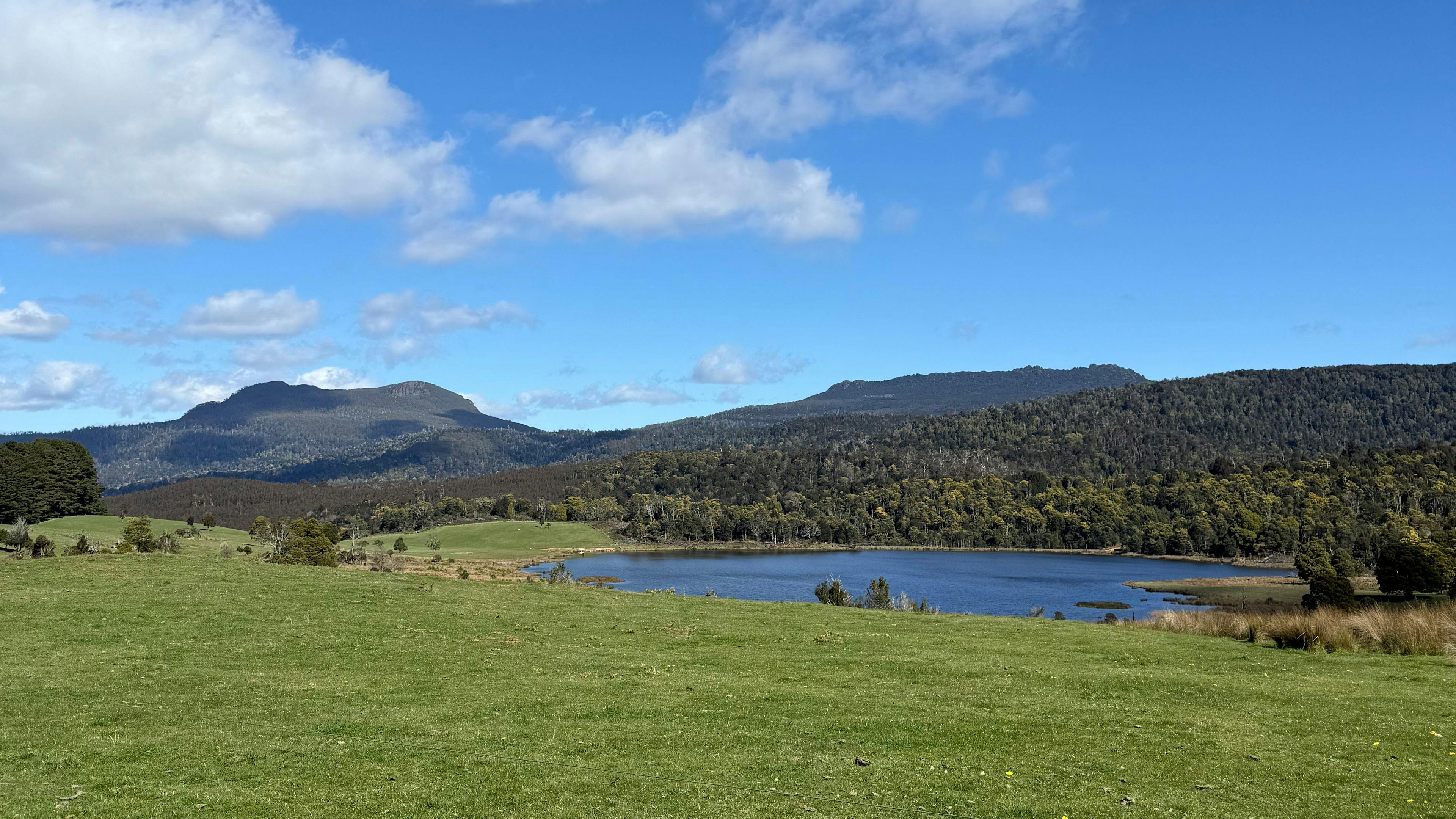 Forest Lodge Farm