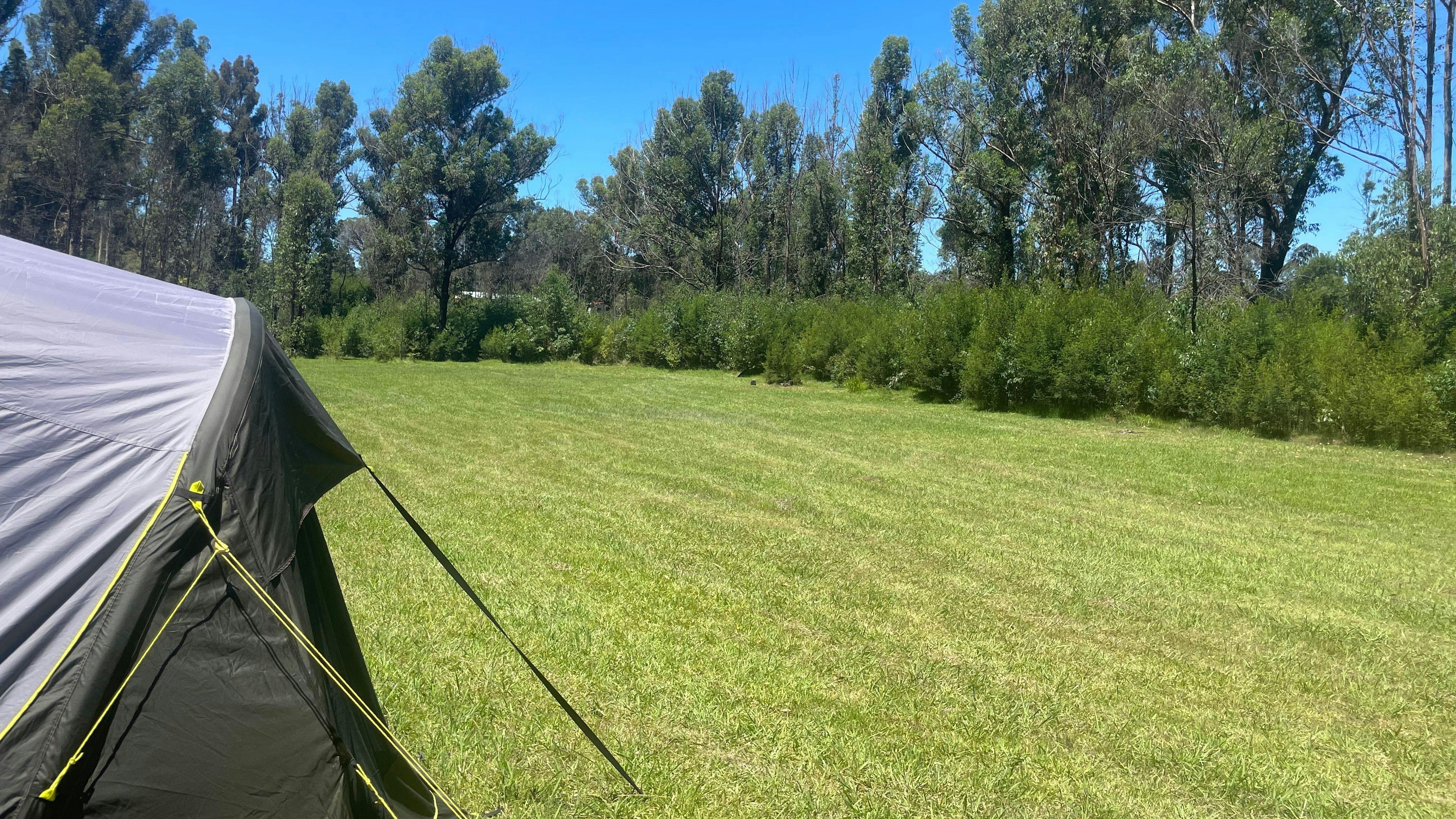 Hard to believe we got such a private and peaceful camp between Christmas and New Years on the South Coast. 