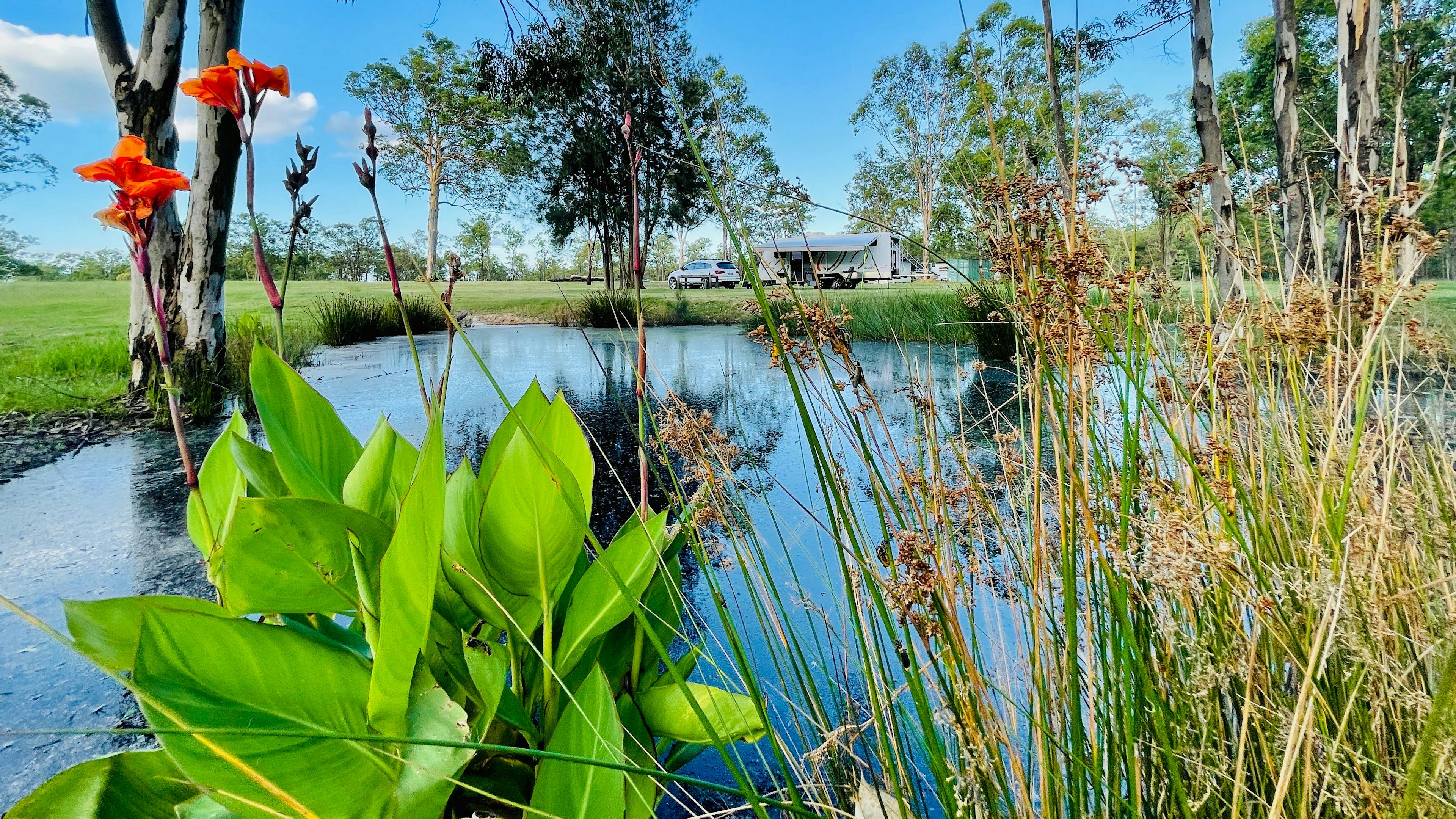 Doorstep to the Vineyards No 1