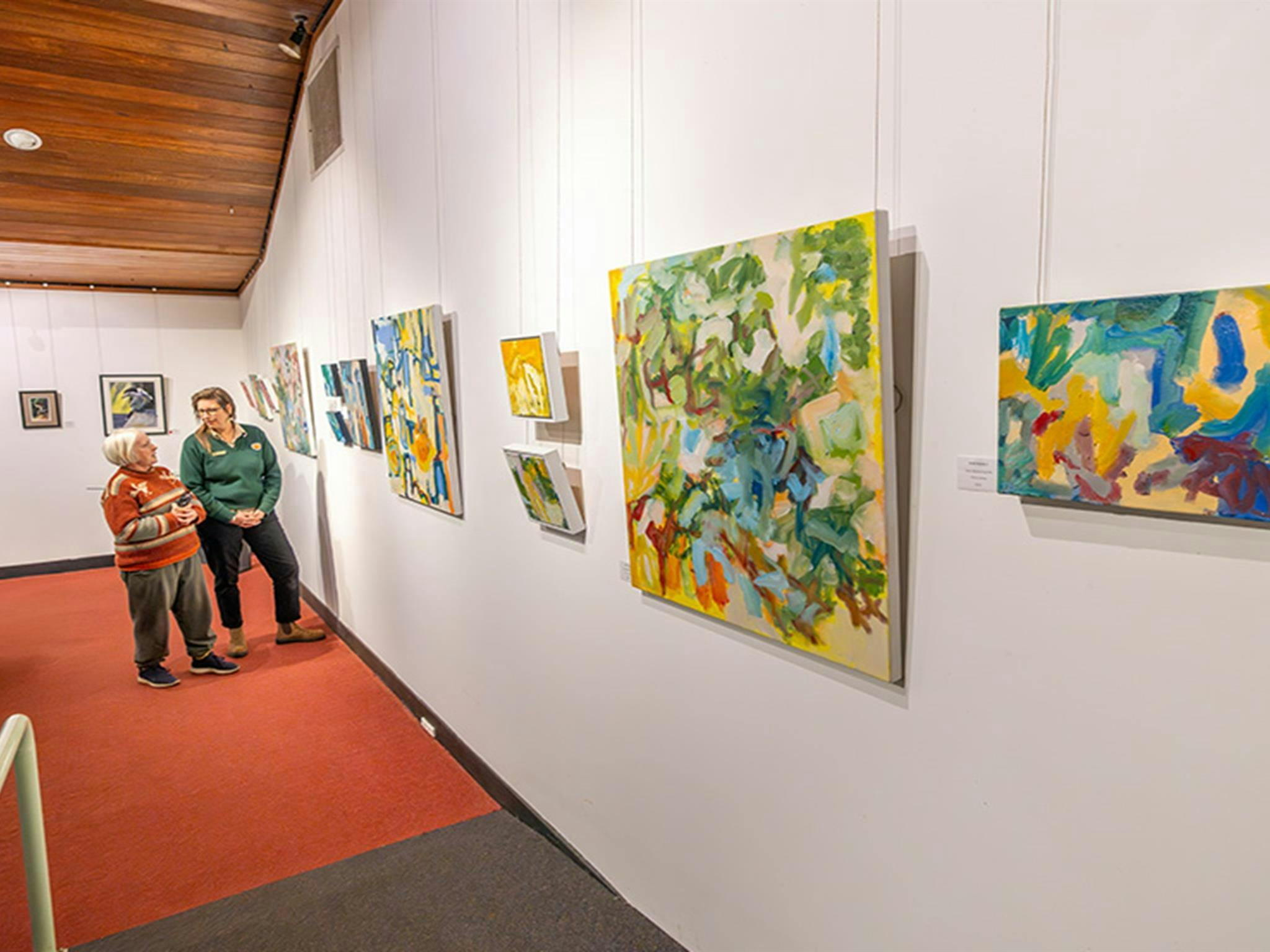 Art on display at Dorrigo Rainforest Centre. Photo: John Spencer/DCCEEW &copy; DCCEEW