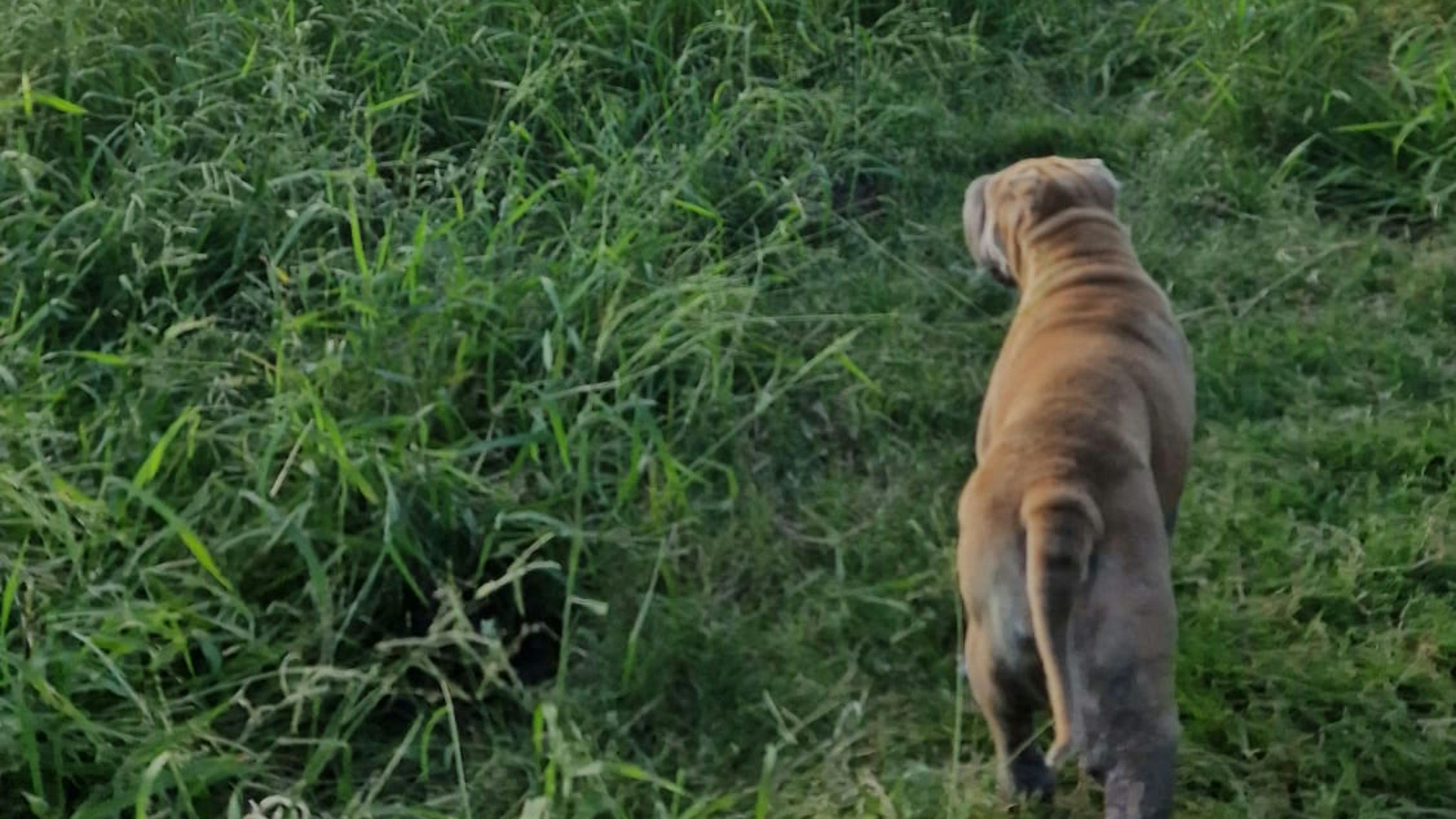 Echoes in the Valley Gatton Qld