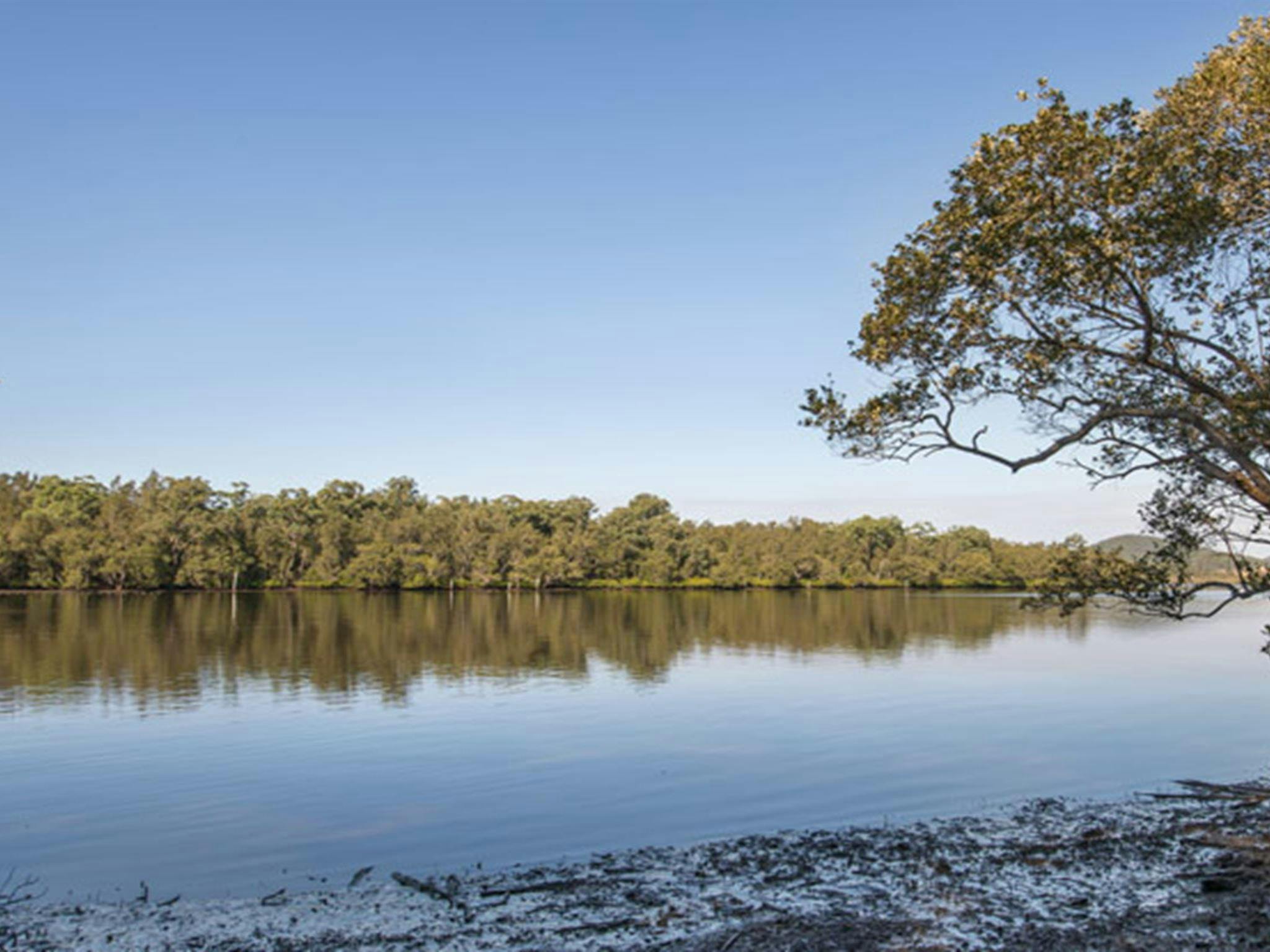 Double Wharf picnic area, Karuah National Park. Photo: John Spencer/NSW Government