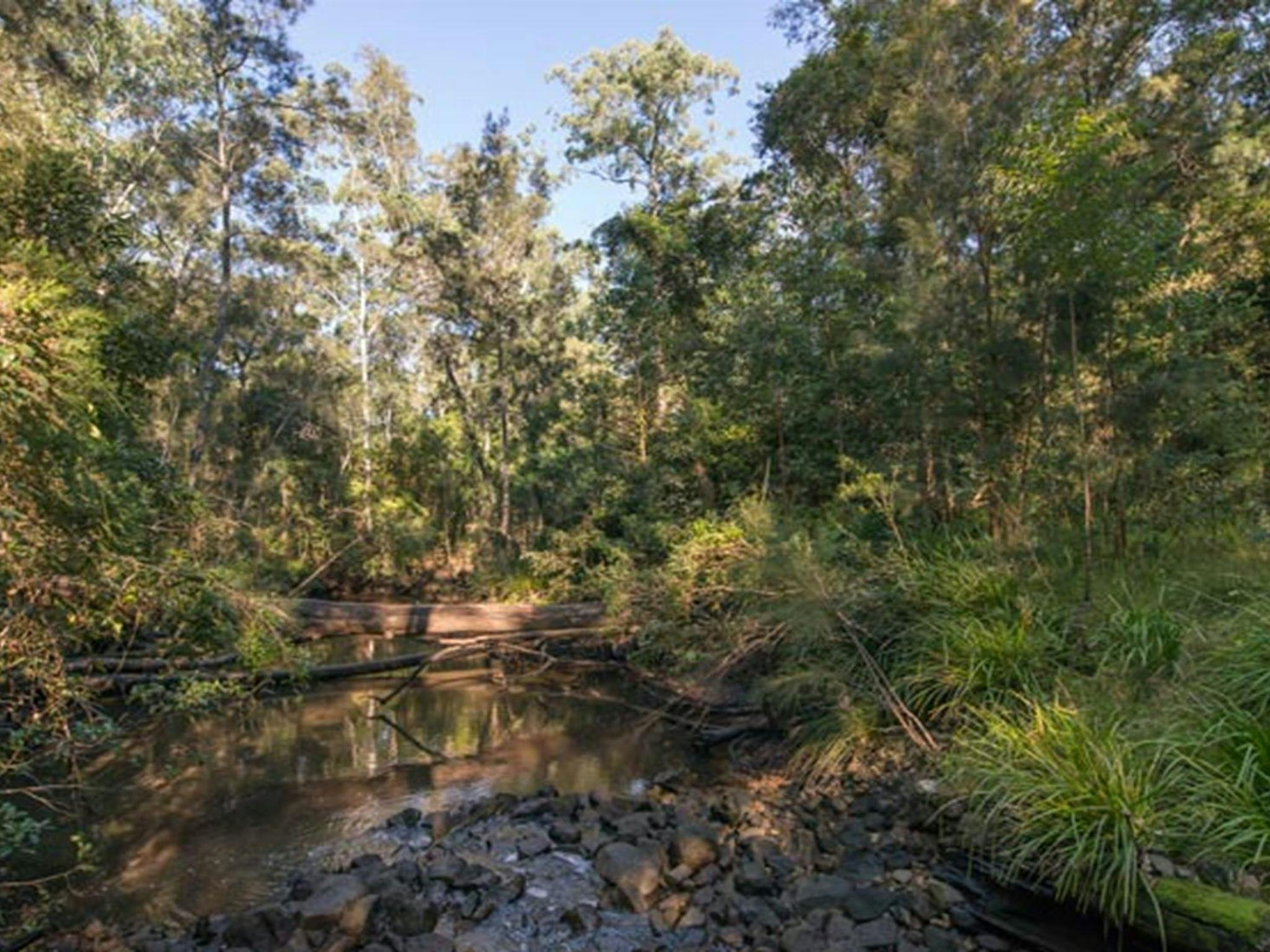 Double Wharf picnic area, Karuah National Park. Photo: John Spencer/NSW Government
