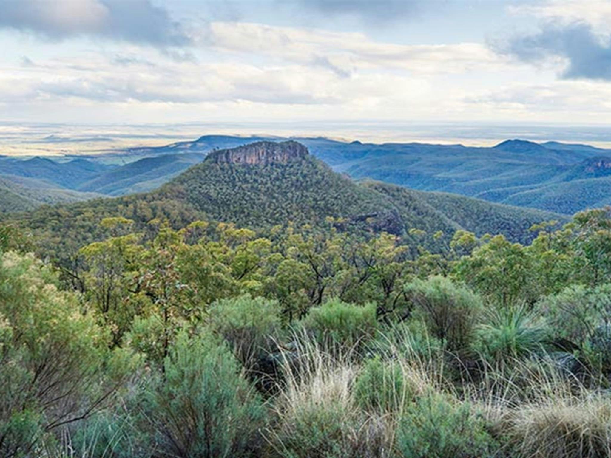 Blick auf die Warrumbungles vom Doug Sky Lookout im Mount Kaputar Nationalpark. Foto: Simone