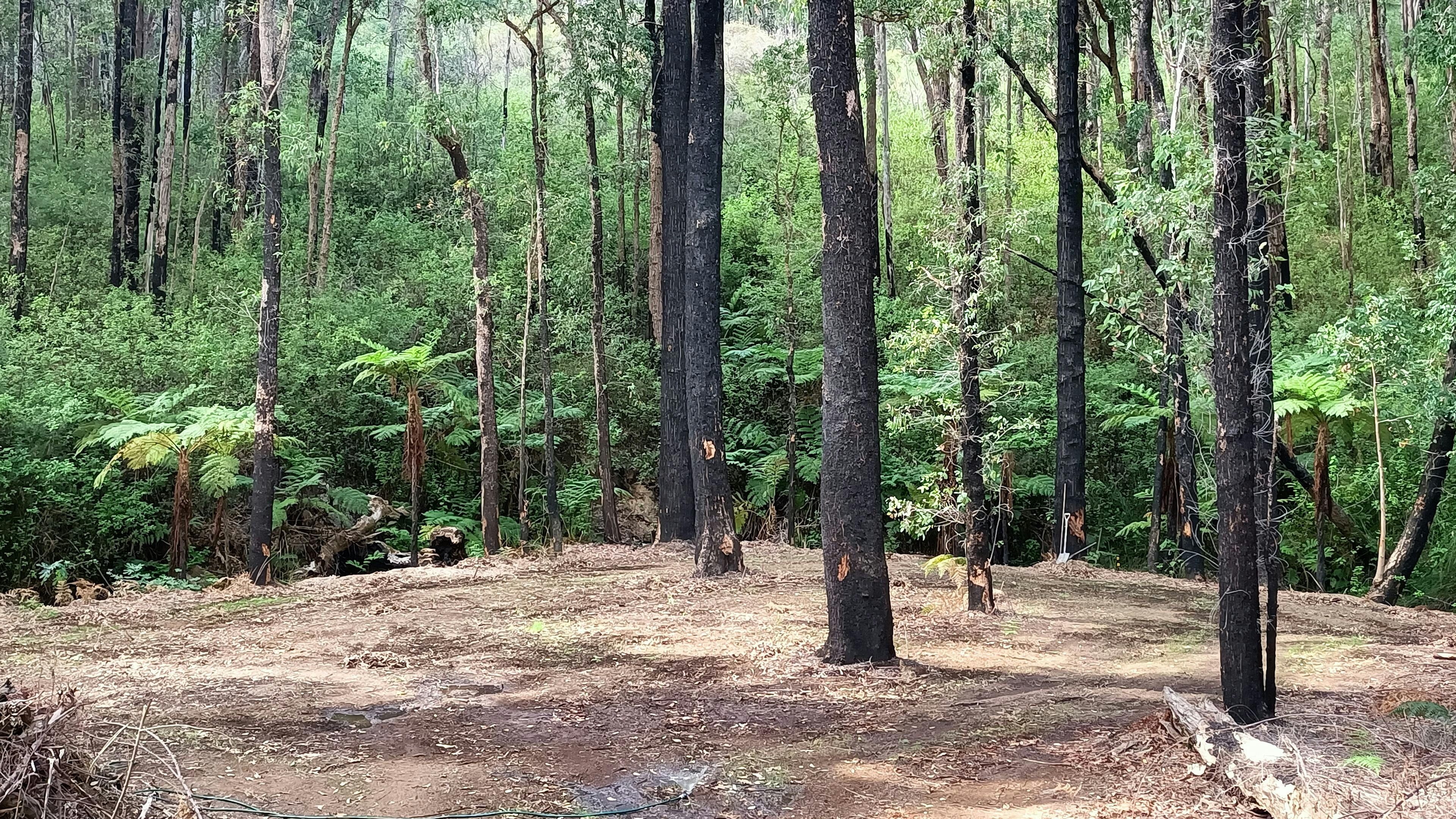 Dougy's Den