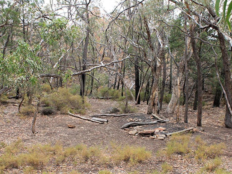 Camping area at Dows camp, set in rugged landscape of bushes and trees. Photo: Blake McCarthy &copy;