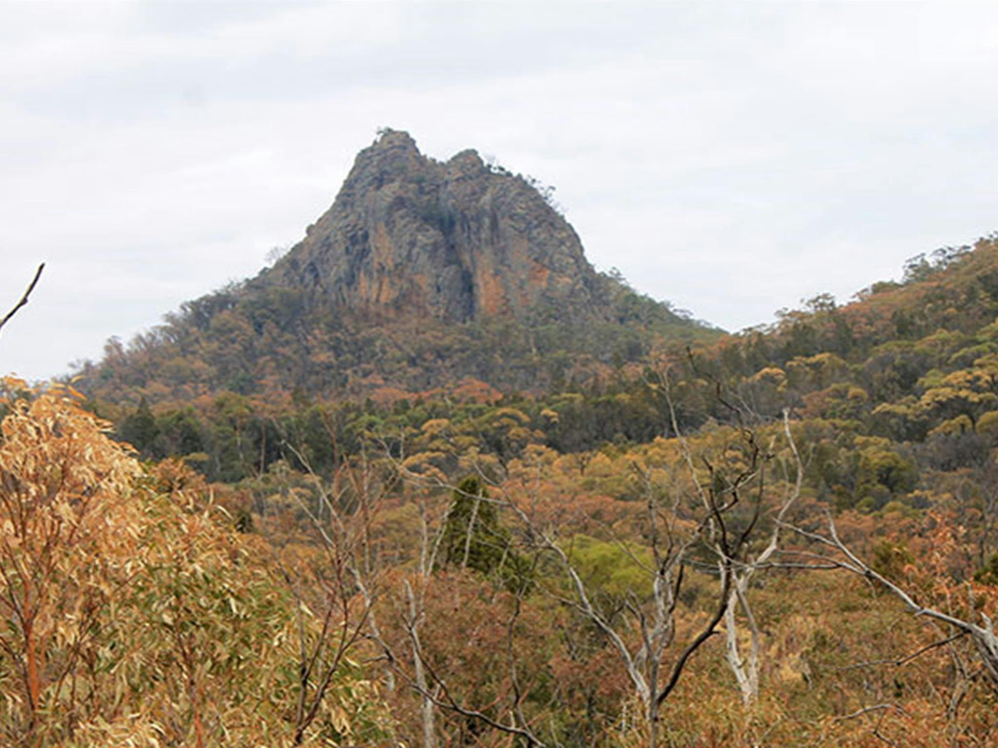 View of forested valley on an overcast day with the rugged spire of Bluff Pyramid in the distance.