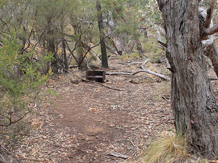 Woodland with a bush camp clearing and wood barbecue at Dows camp. Photo: Blake McCarthy &copy; DPIE