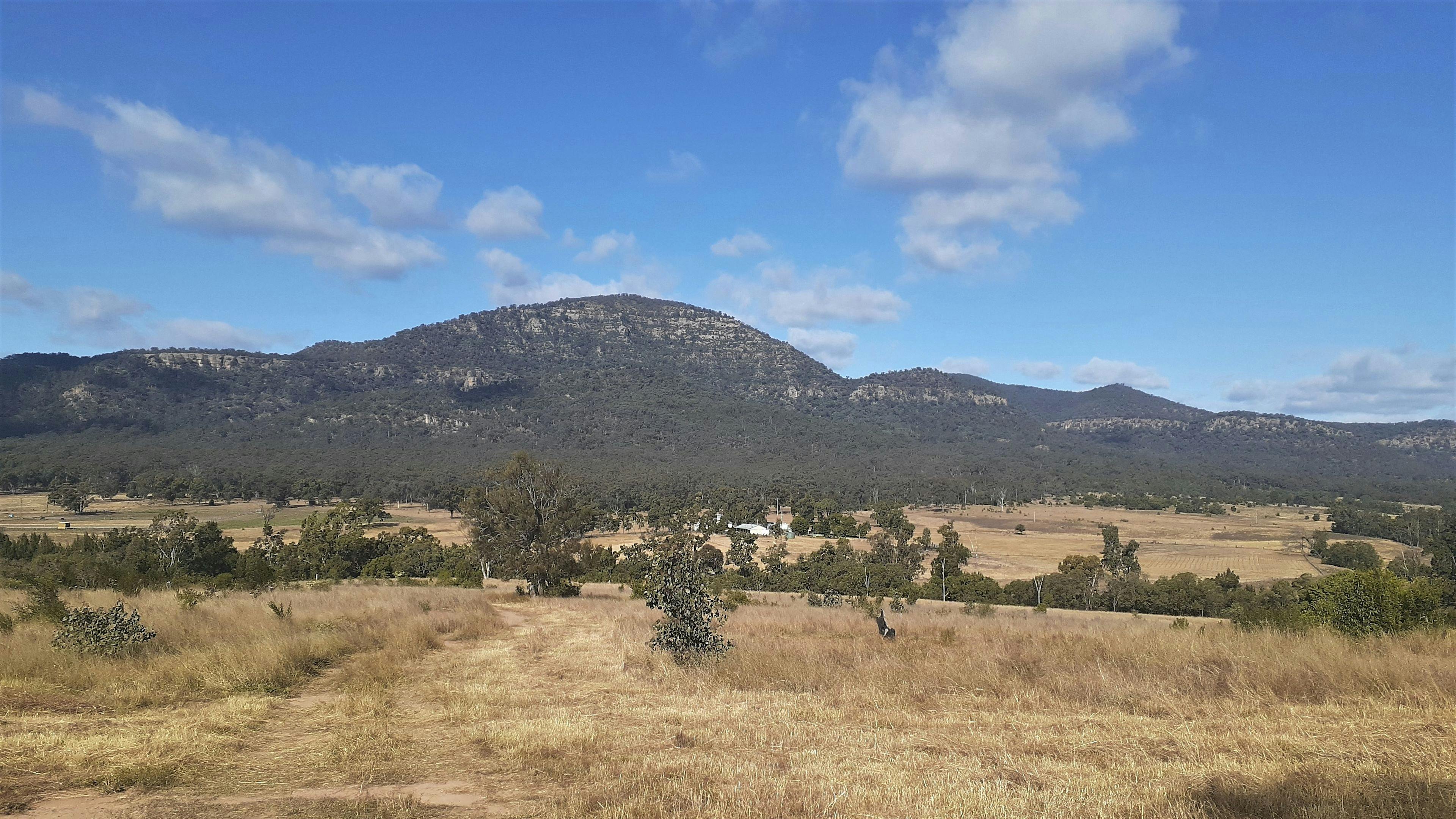 Doyles Creek Camp