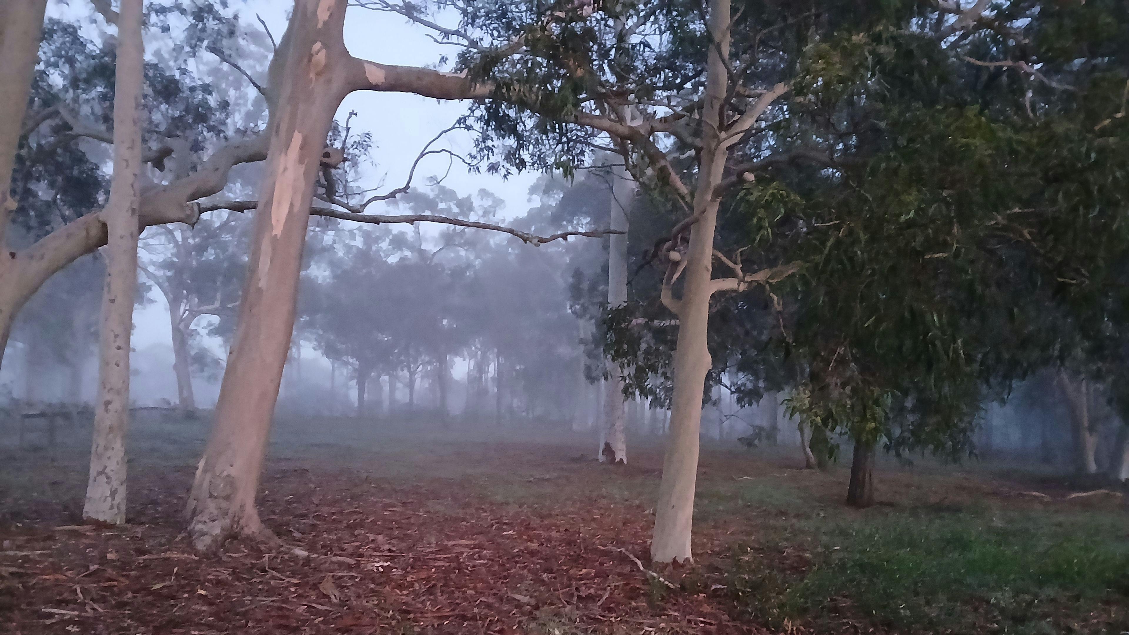 Hunter Valley Homestead