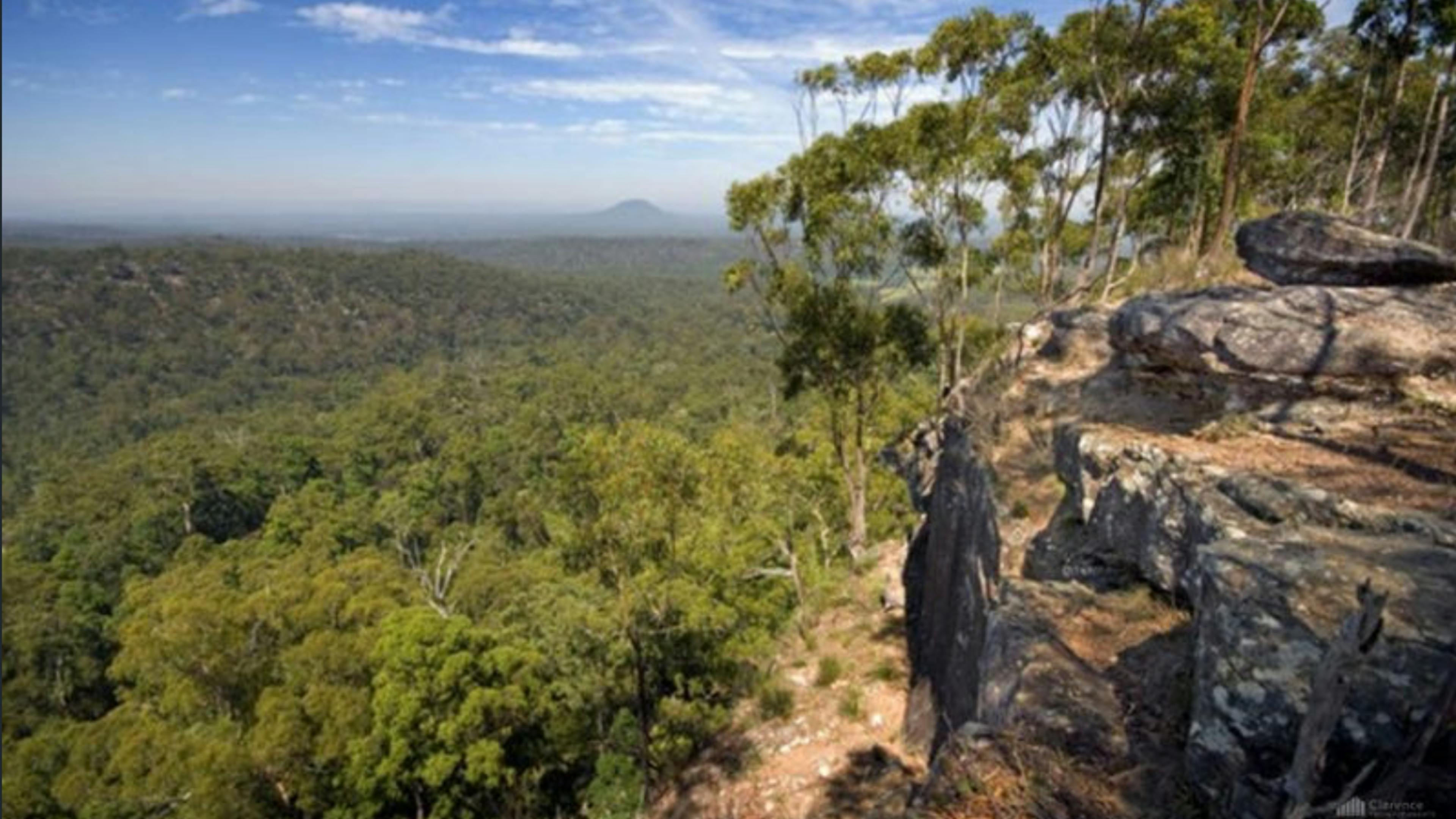 Dreamadua Forest Camp