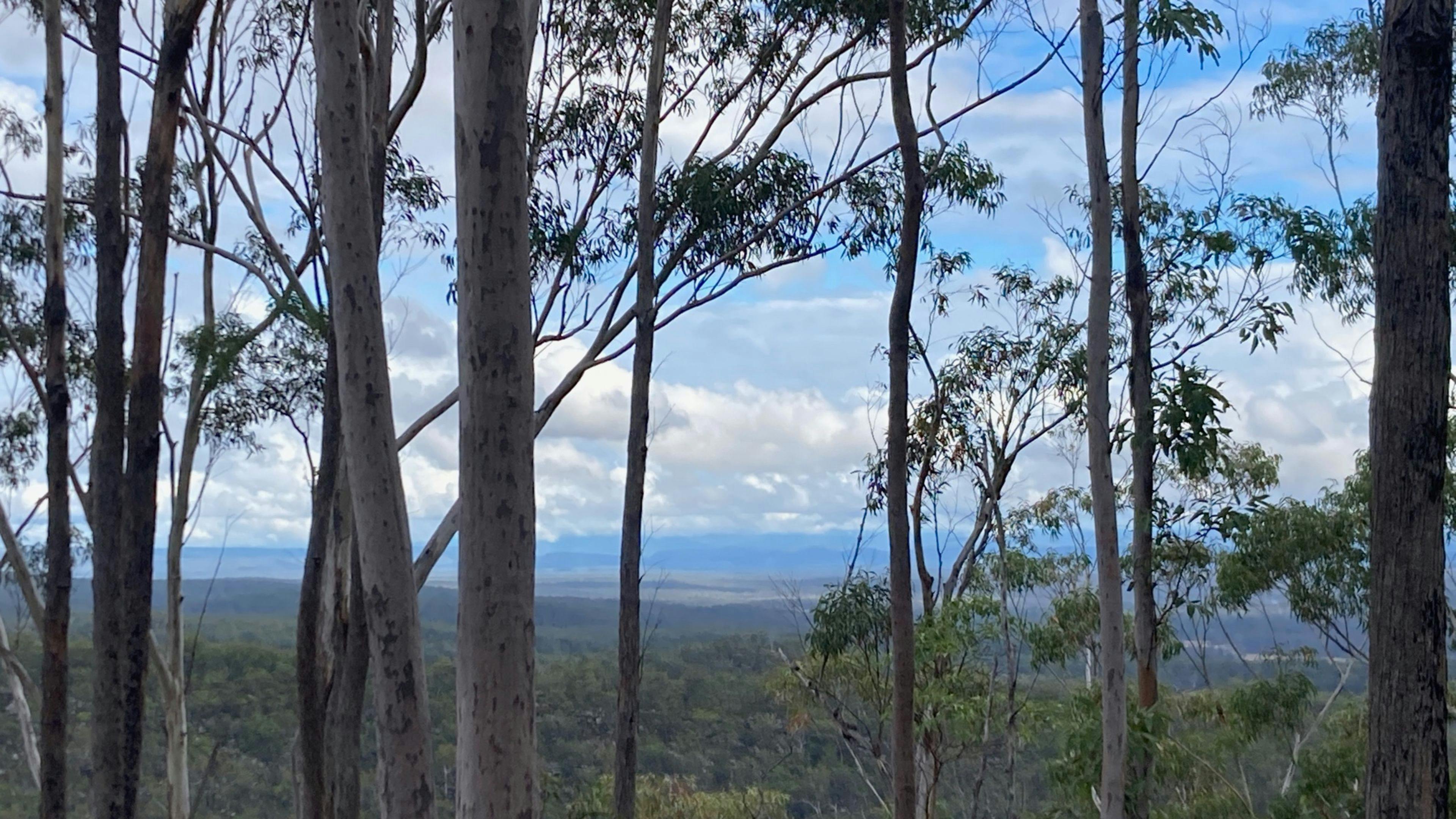 드리마두아 포레스트 캠프