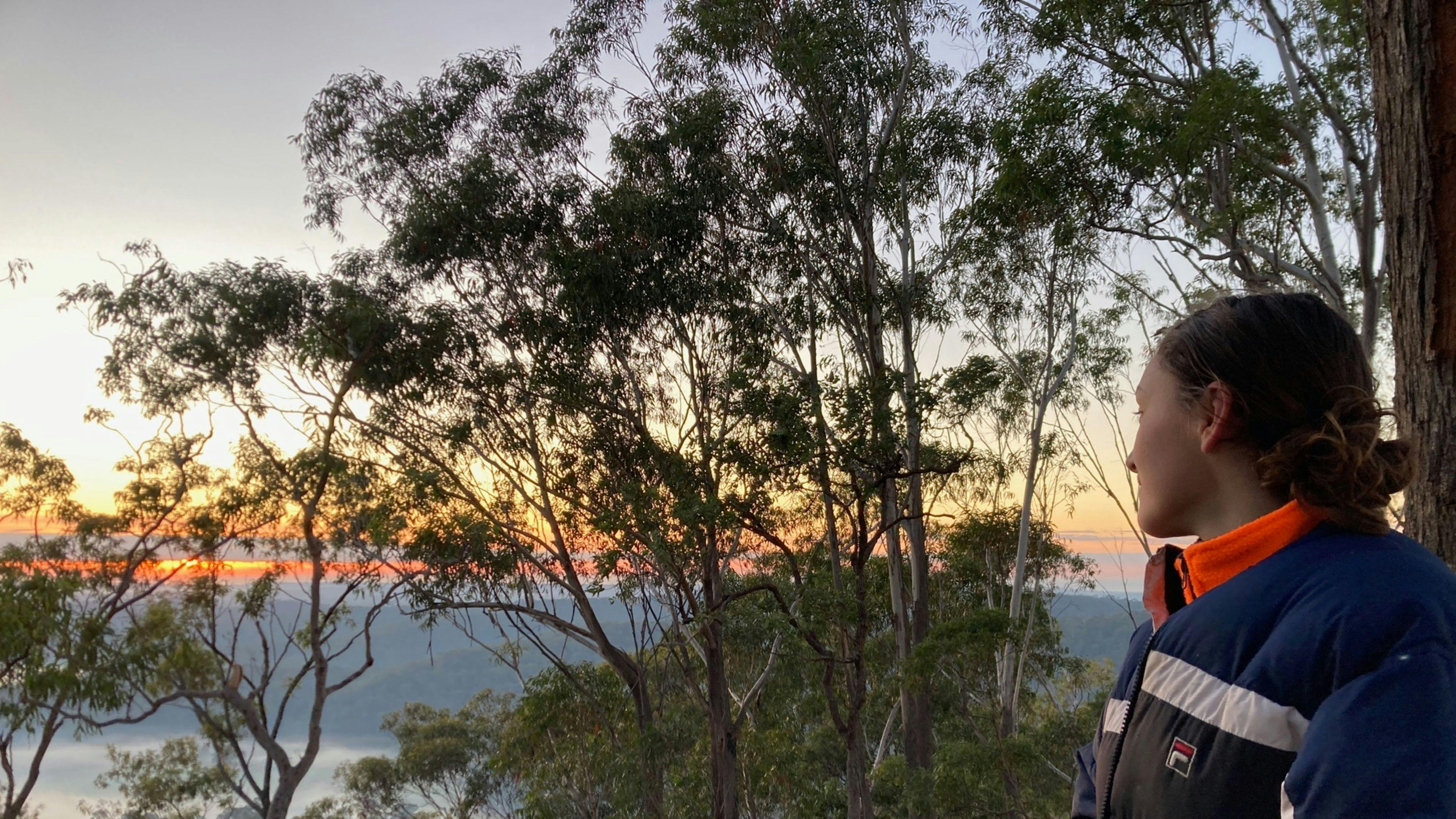 드리마두아 포레스트 캠프