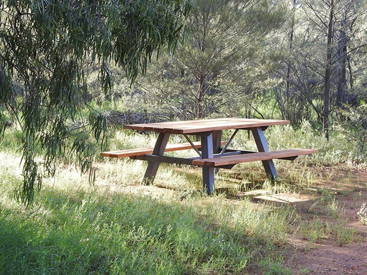 Photo of a picnic table surrounded by trees, grass and shurb at Dry Tank campground and picnic area